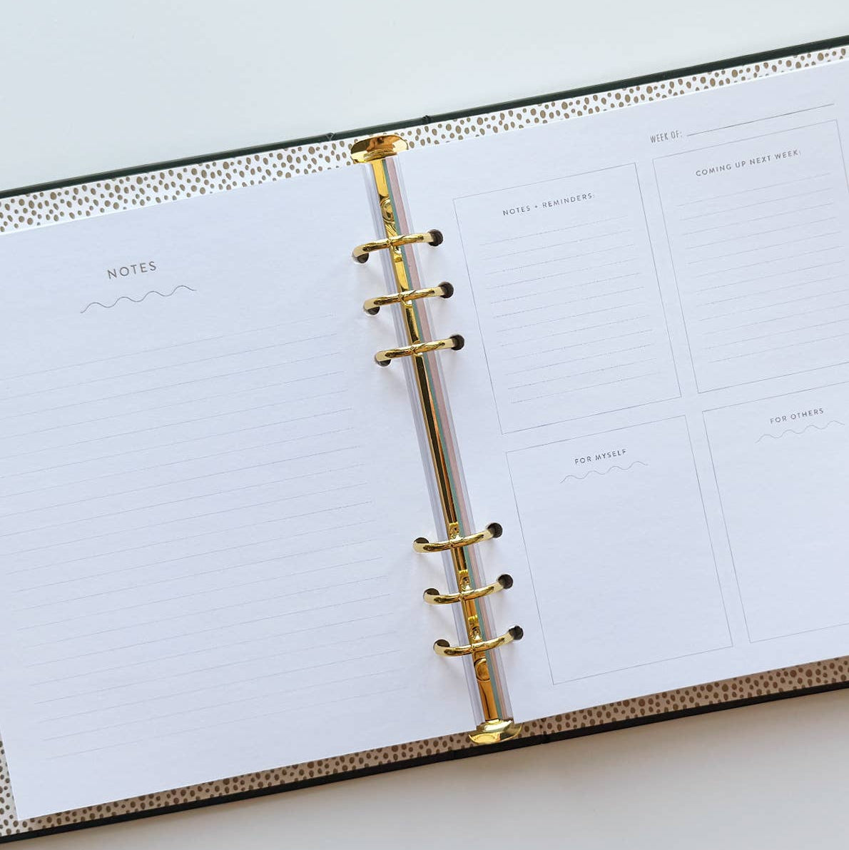 Open planner with gold binding on a light gray background
