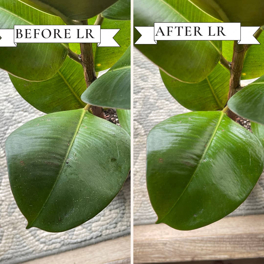 Leaf Radiance 32oz Refill Bottle - Ready To Use Leaf Cleaner