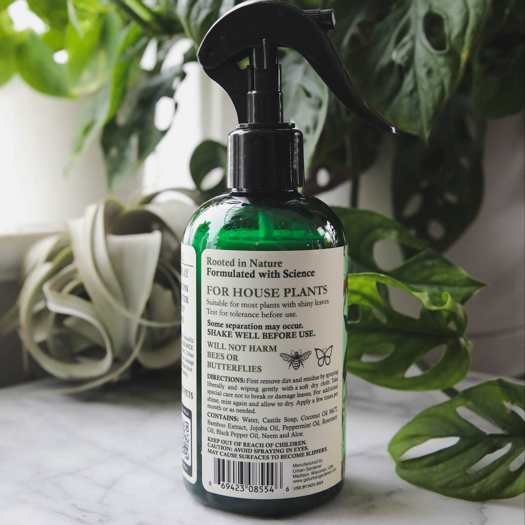 Keep your houseplant leaves healthy and beautiful with Urban Gardener's Leaf Radiance. Unlike any other shine on the market, Leaf Radiance uses only non-mineral oils that will not damage leaves' outer cuticles or clog pores used in respiration. Let your plant breathe easily while enjoying a radiant glow from its leaves