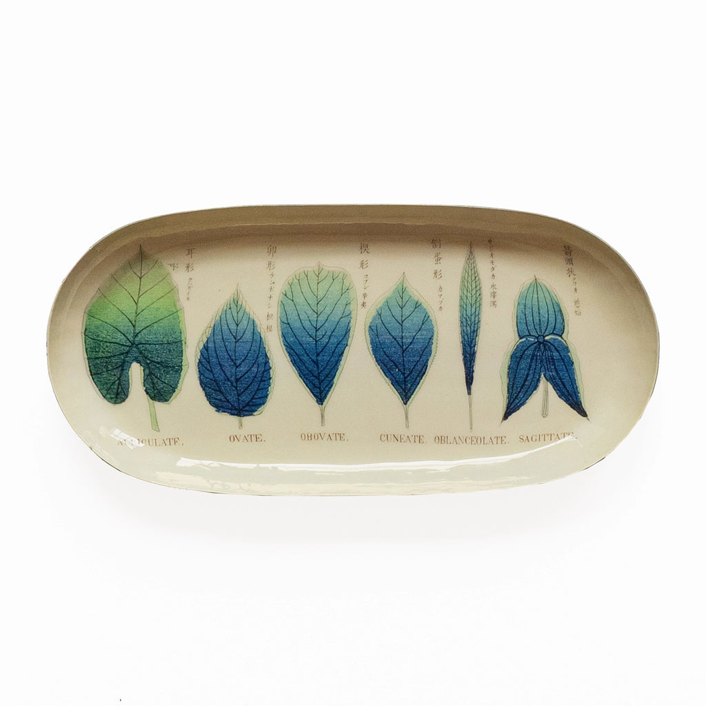 Featuring artwork reproduced from original illustrations by a Japanese artist published in a book about botany in 1873, this decorative Shapes of Leaves Printed Enamel Tray showcases intricate drawings of Japanese leaves in vibrant blue and green hues. The perfect home accessory for holding stationery, jewellry, and other trinkets. Each of our enamel trays is expertly handcrafted in India. Due to the nature of this handmade production process, please expect some variation in the final product.