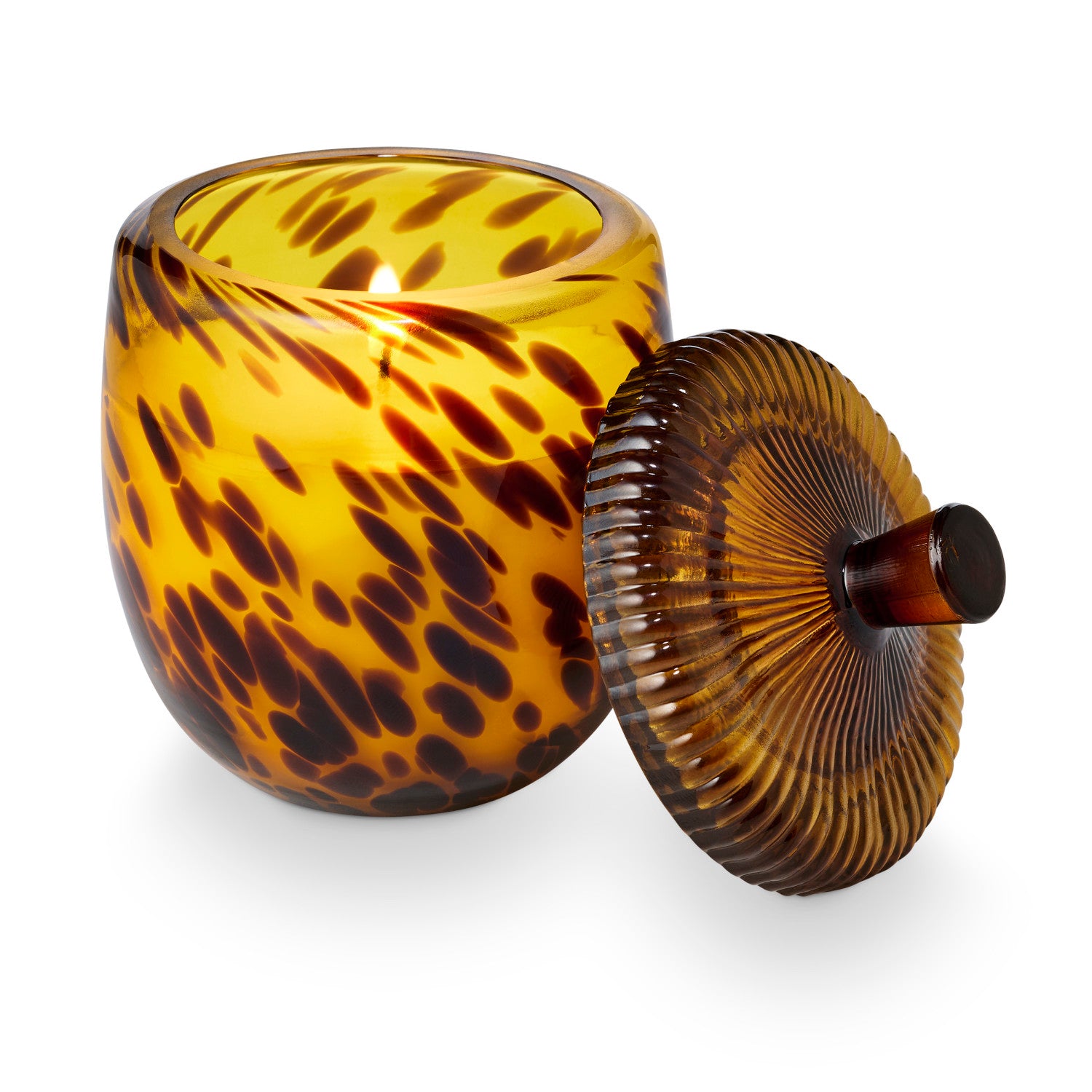Tortoiseshell-patterned candle holder with a lit candle on a white background