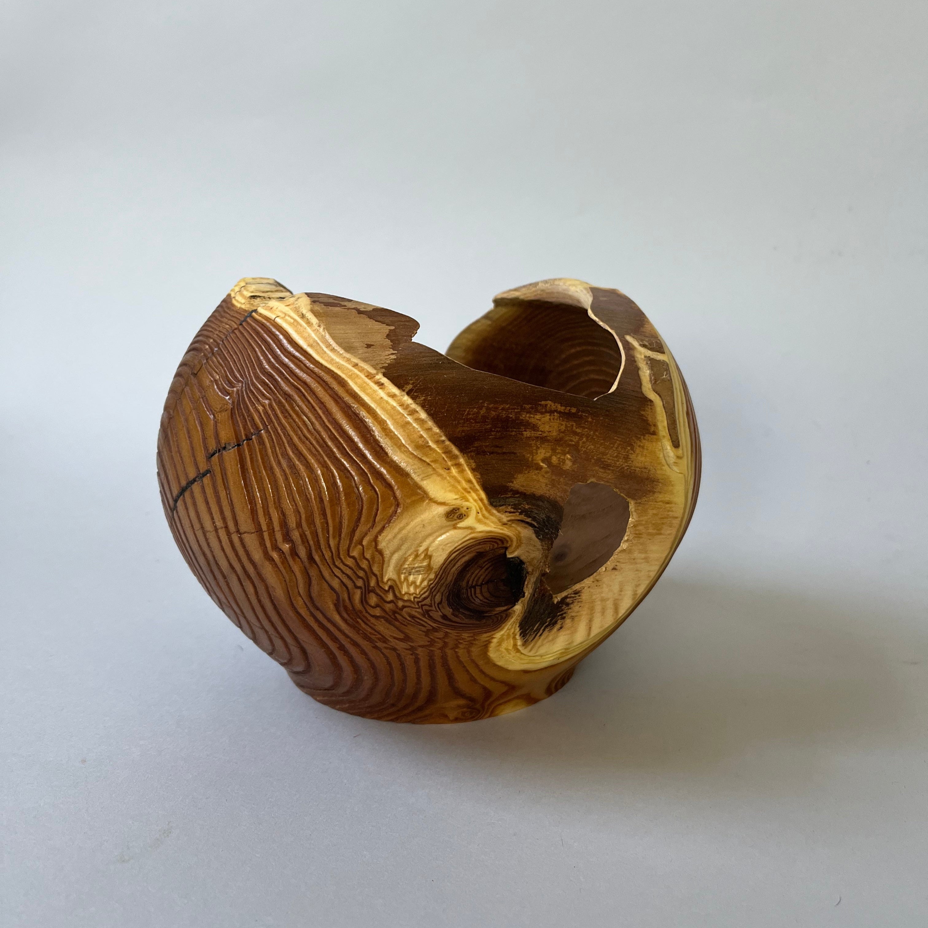 Russian Olive Vase 2
