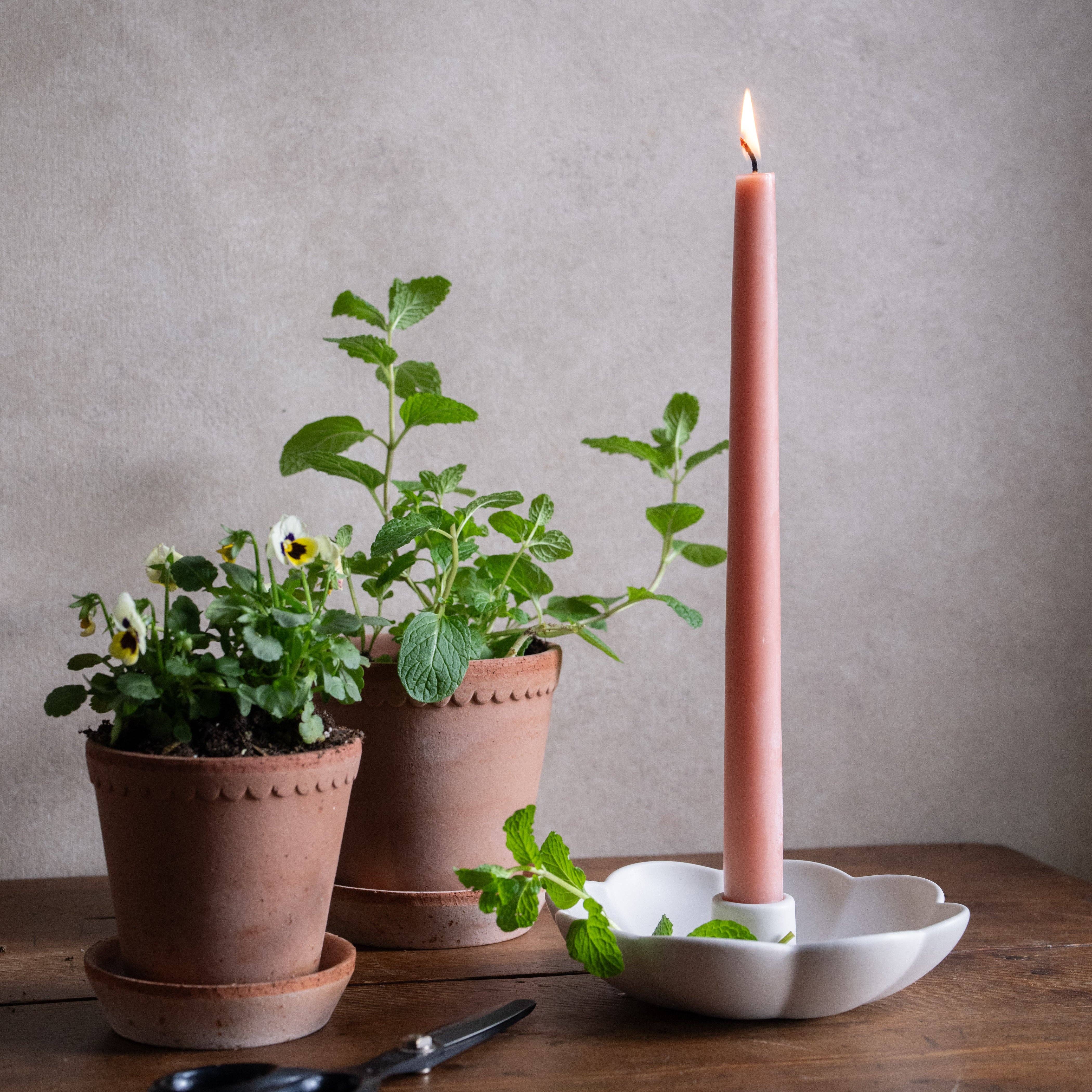 A tall pink taper candle stands lit in a white flower-shaped candle holder on a wooden table, with two potted green plants in terracotta pots behind it against a textured gray wall.
