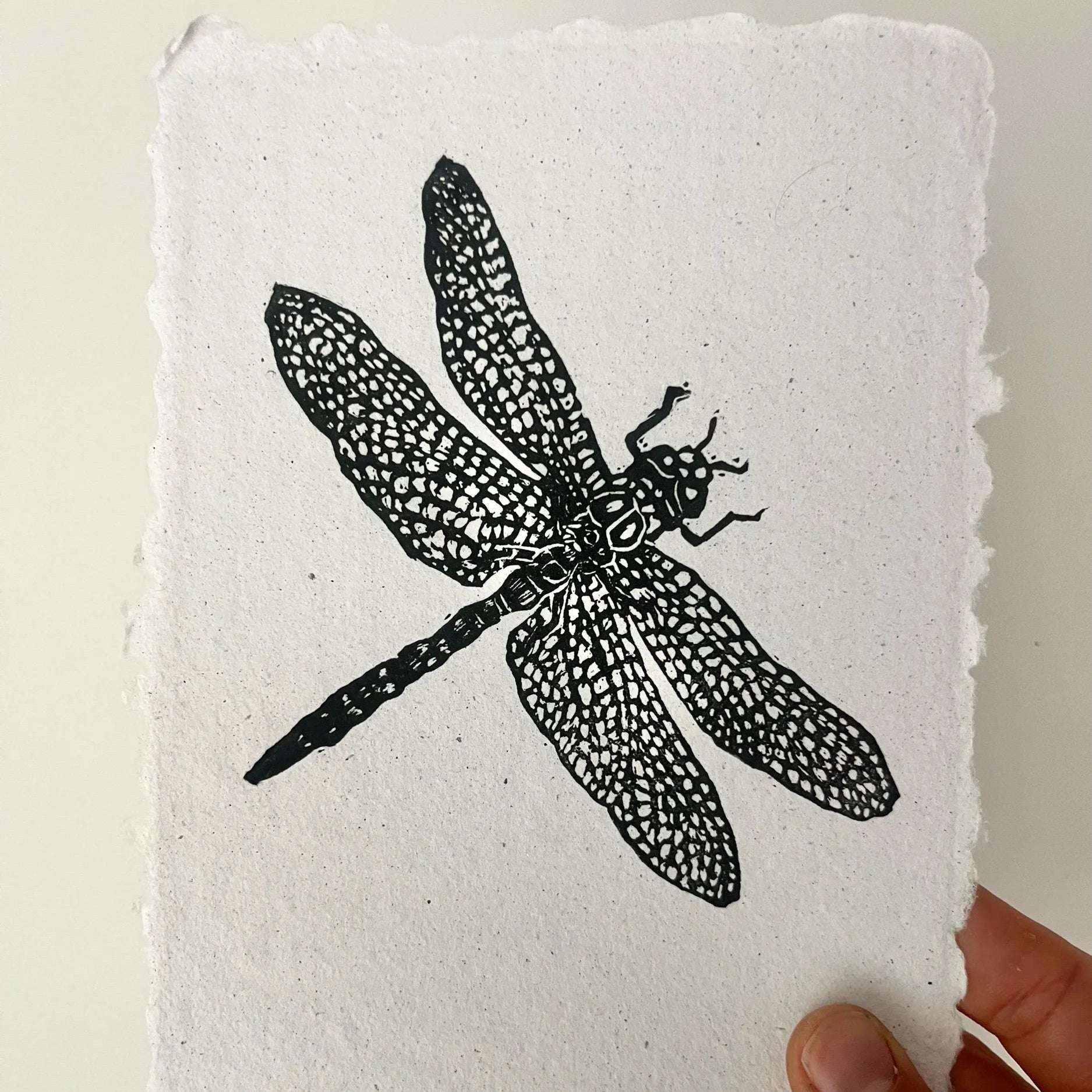 a relief linocut of a dragonfly on paper torn on all the edges