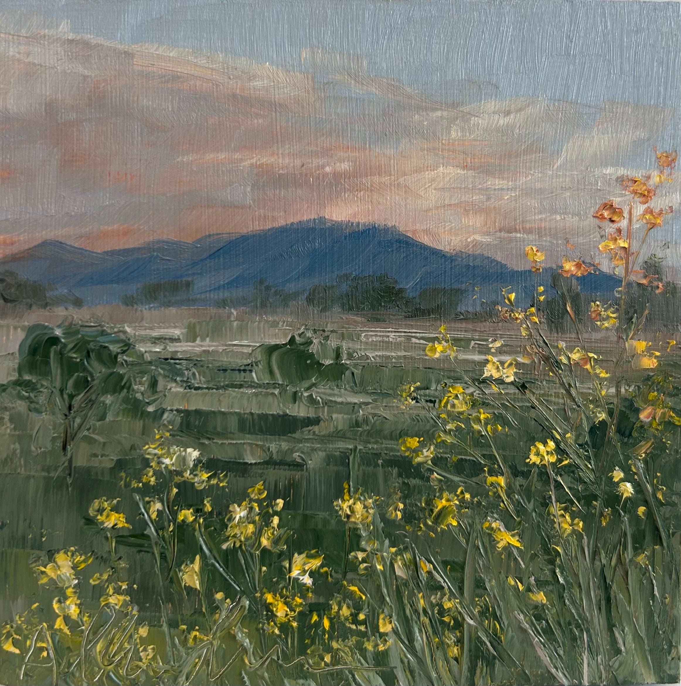 Yellow flowers with long stem in the foreground and green plains in the background. The sky is dusky with a pale pink and blue color.