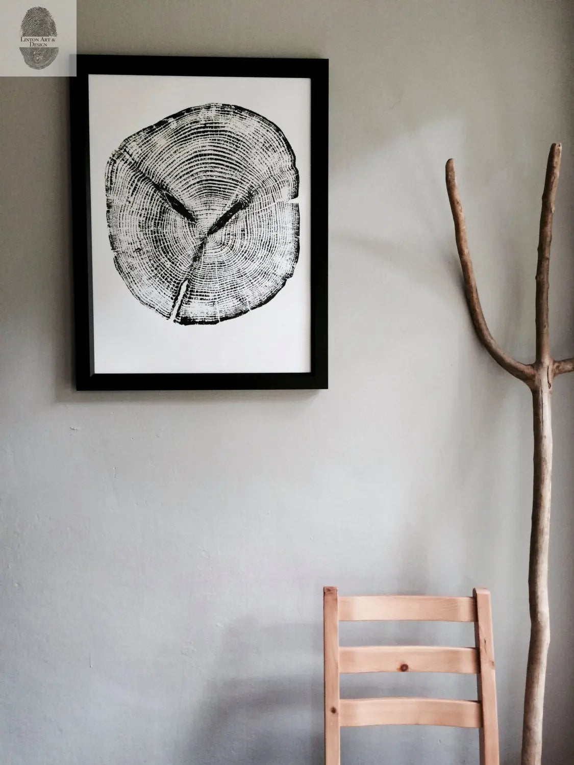 Alaska Cedar, Alaska Art, Denali, Shabby Tree, Tree Ring Print, Forager