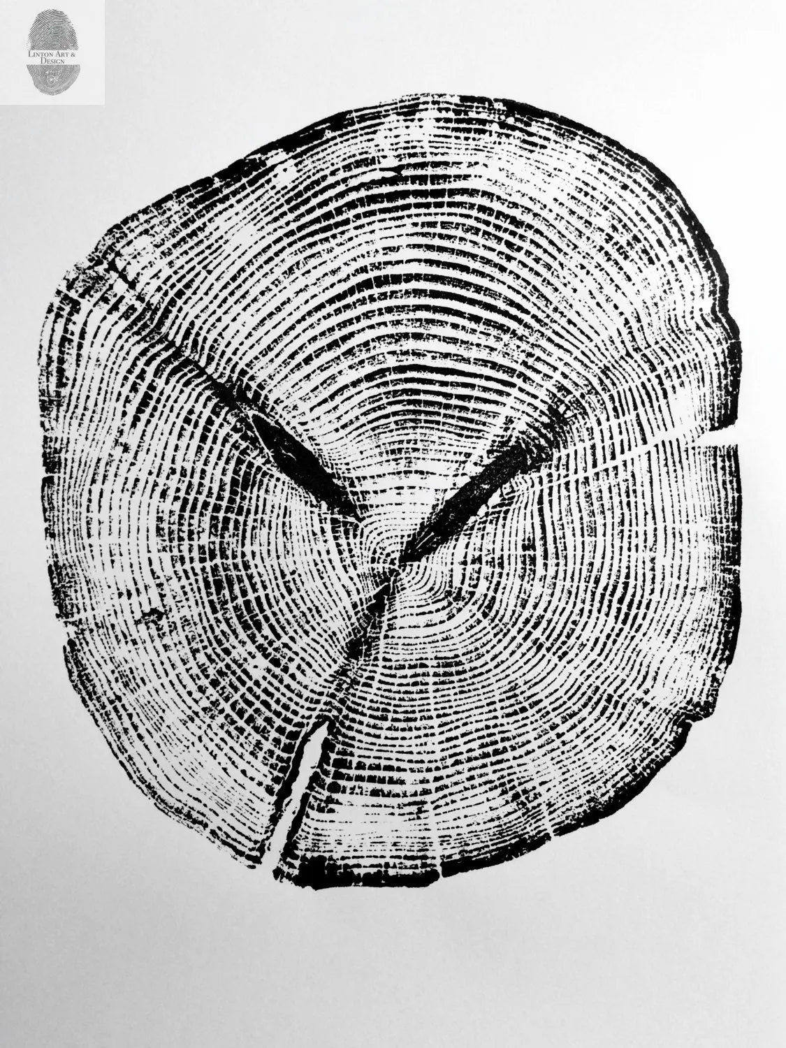 Alaska Cedar, Alaska Art, Denali, Shabby Tree, Tree Ring Print, Forager