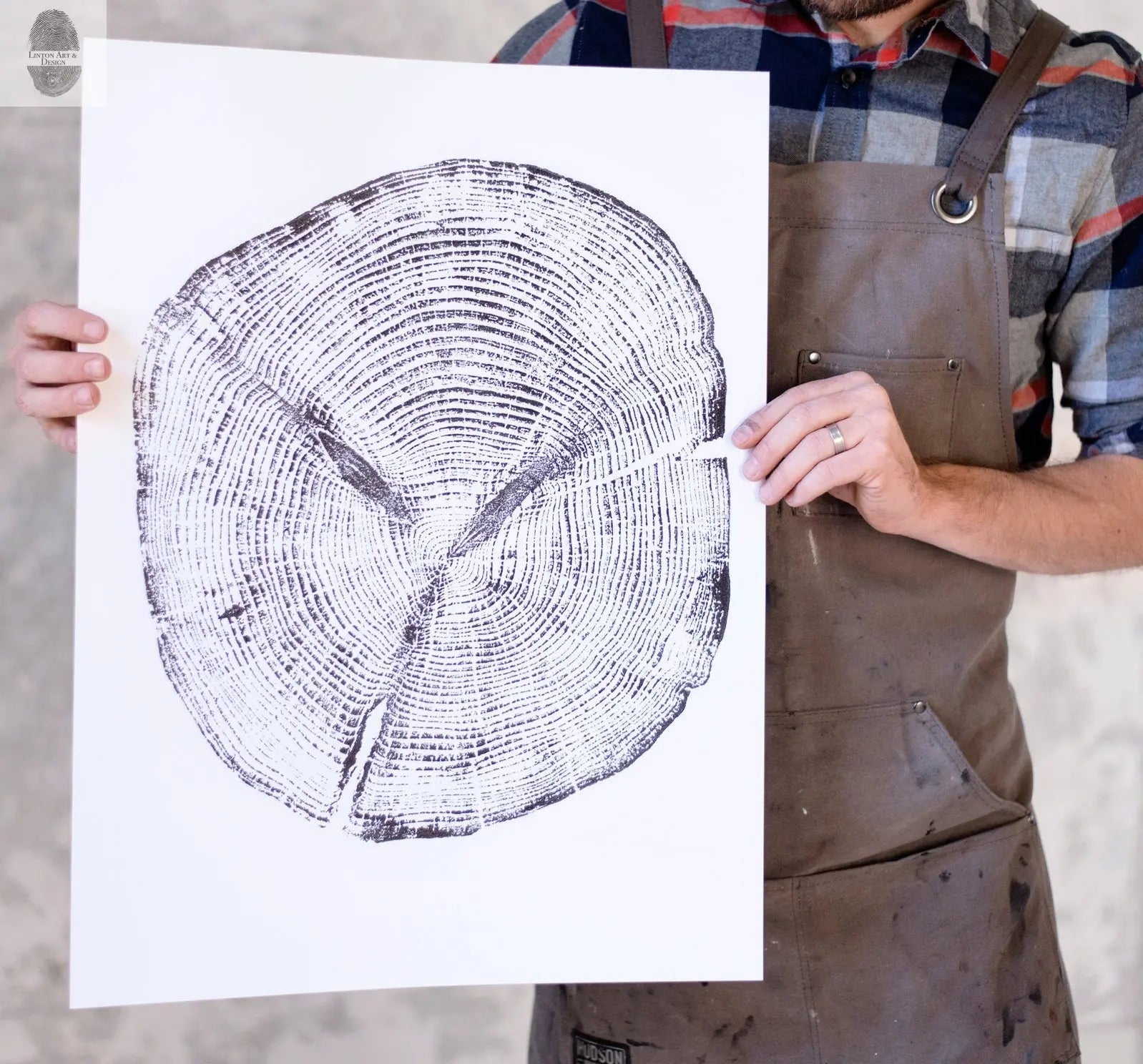 Alaska Cedar, Alaska Art, Denali, Shabby Tree, Tree Ring Print, Forager