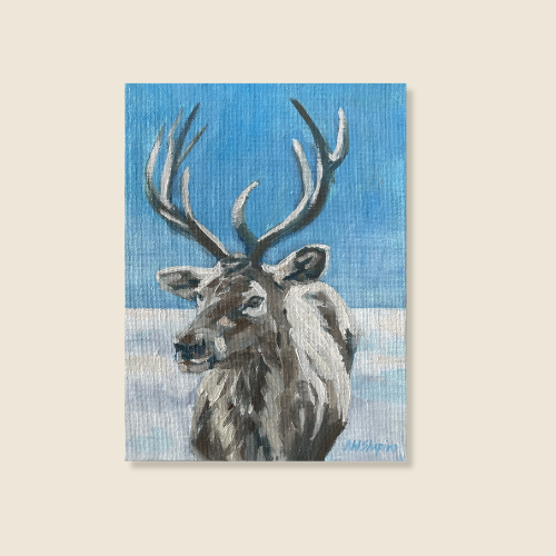 8”x6 - CONFIRM MEDIUM, portrait of reindeer, four prong antlers, agains blue sky, snow covered ground.