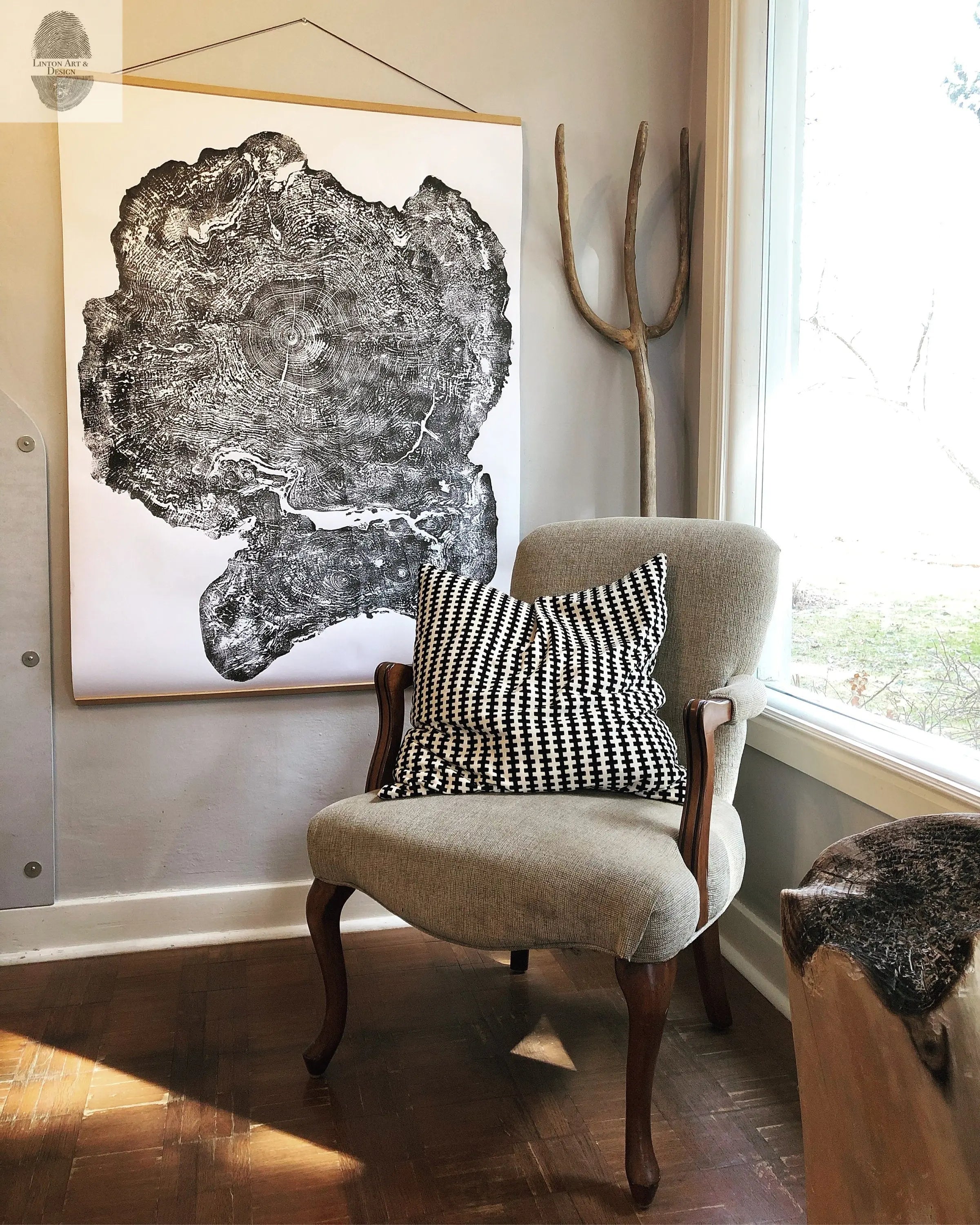 Big Leaf Maple, Tree ring print, Massachusetts art, Oversized tree ring Art, hand pressed tree rings, tree ring art print, Arborist art gift