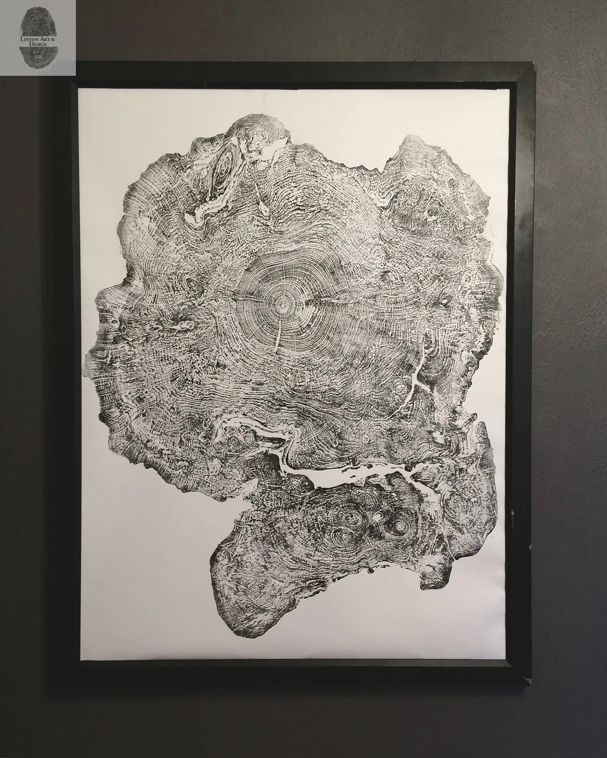 Big Leaf Maple, Tree ring print, Massachusetts art, Oversized tree ring Art, hand pressed tree rings, tree ring art print, Arborist art gift