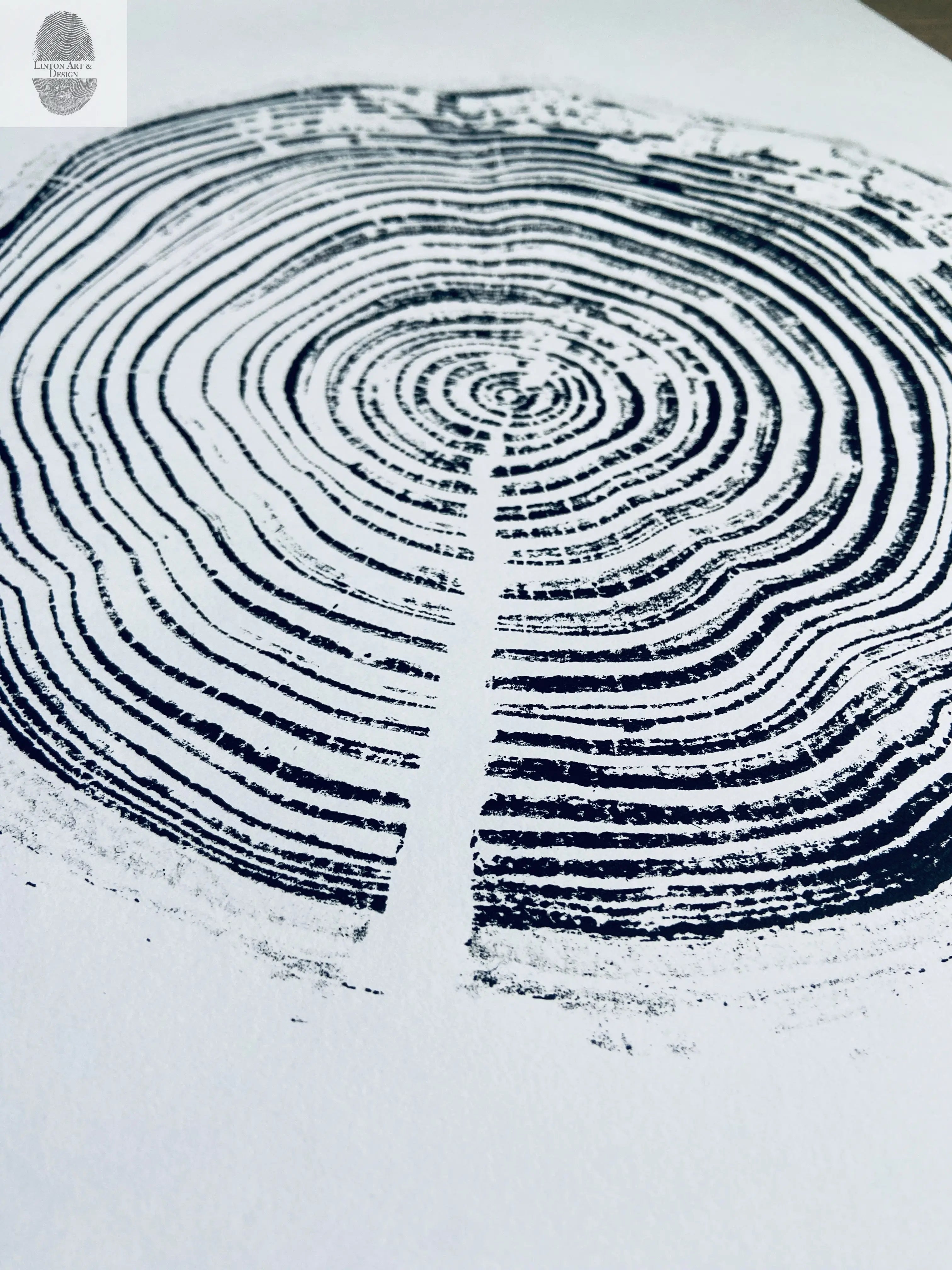 California Redwood, San Francisco, 30 years, 18x24 inch print, hand pressed print, tree ring art, wood slice, wedding tree, Woodcut print, by Erik Linton