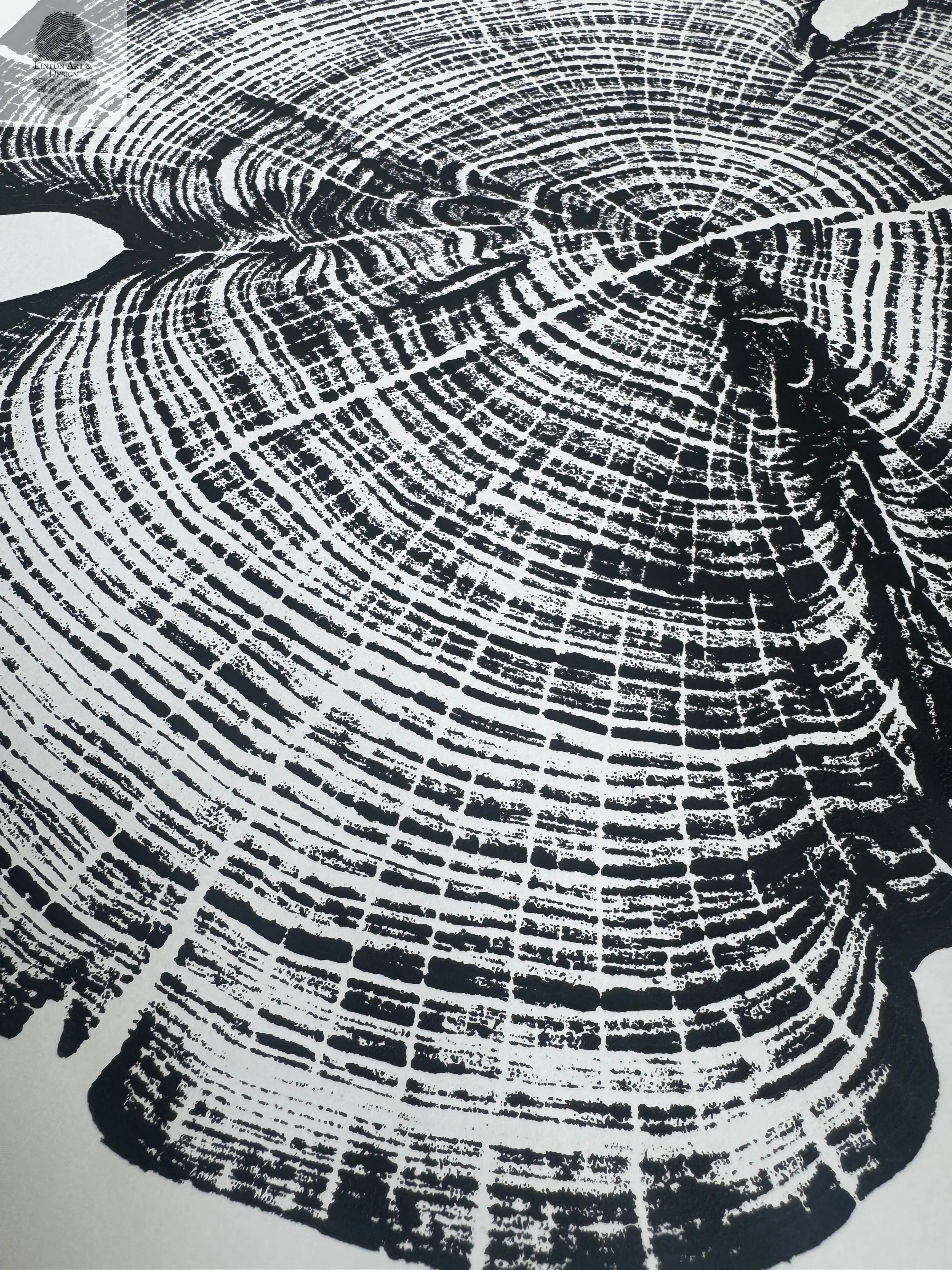 Cedar Tree Ring Print – Reno County, Kansas – 18x24 Original Signed Woodcut