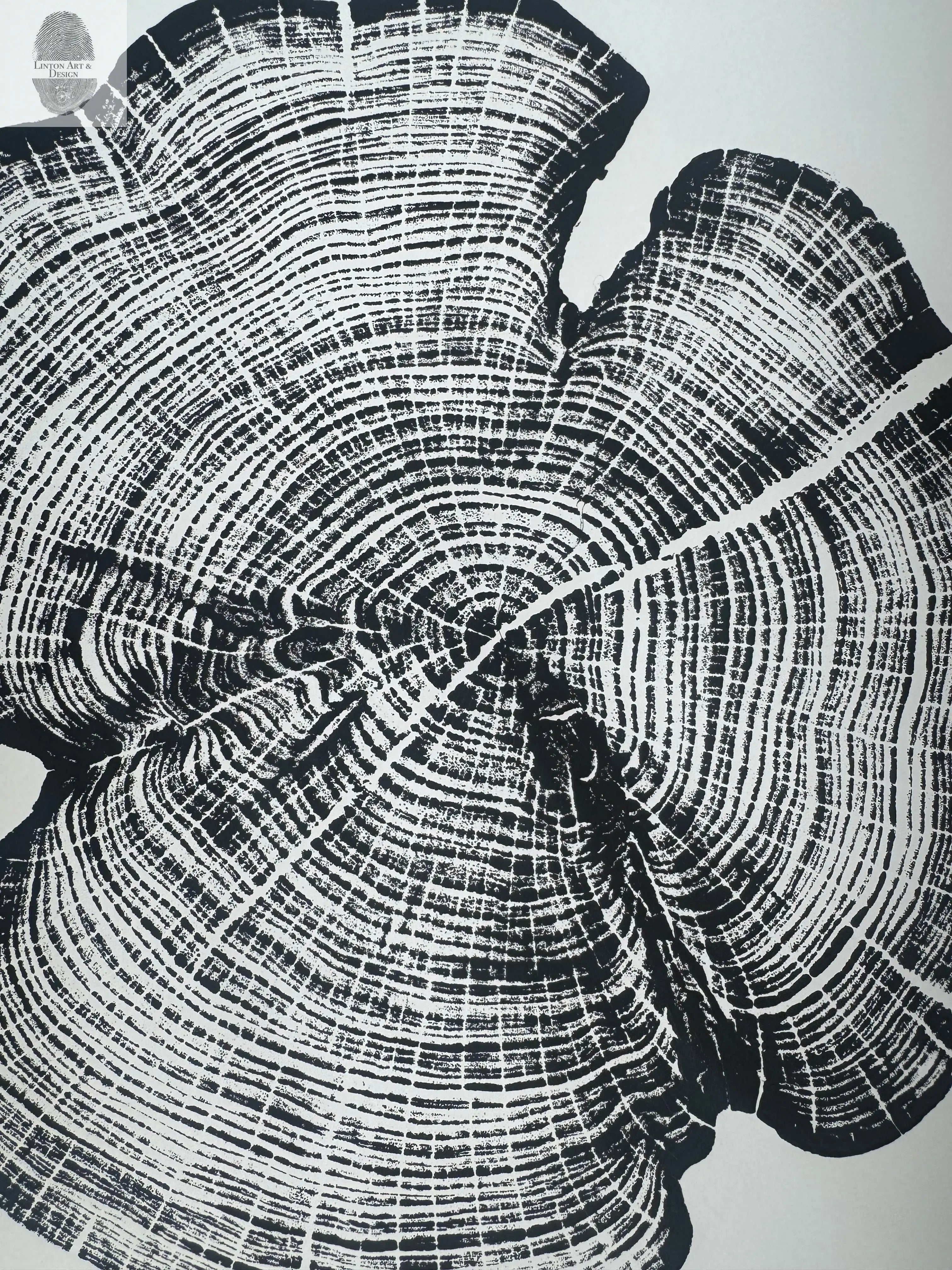 Cedar Tree Ring Print – Reno County, Kansas – 18x24 Original Signed Woodcut