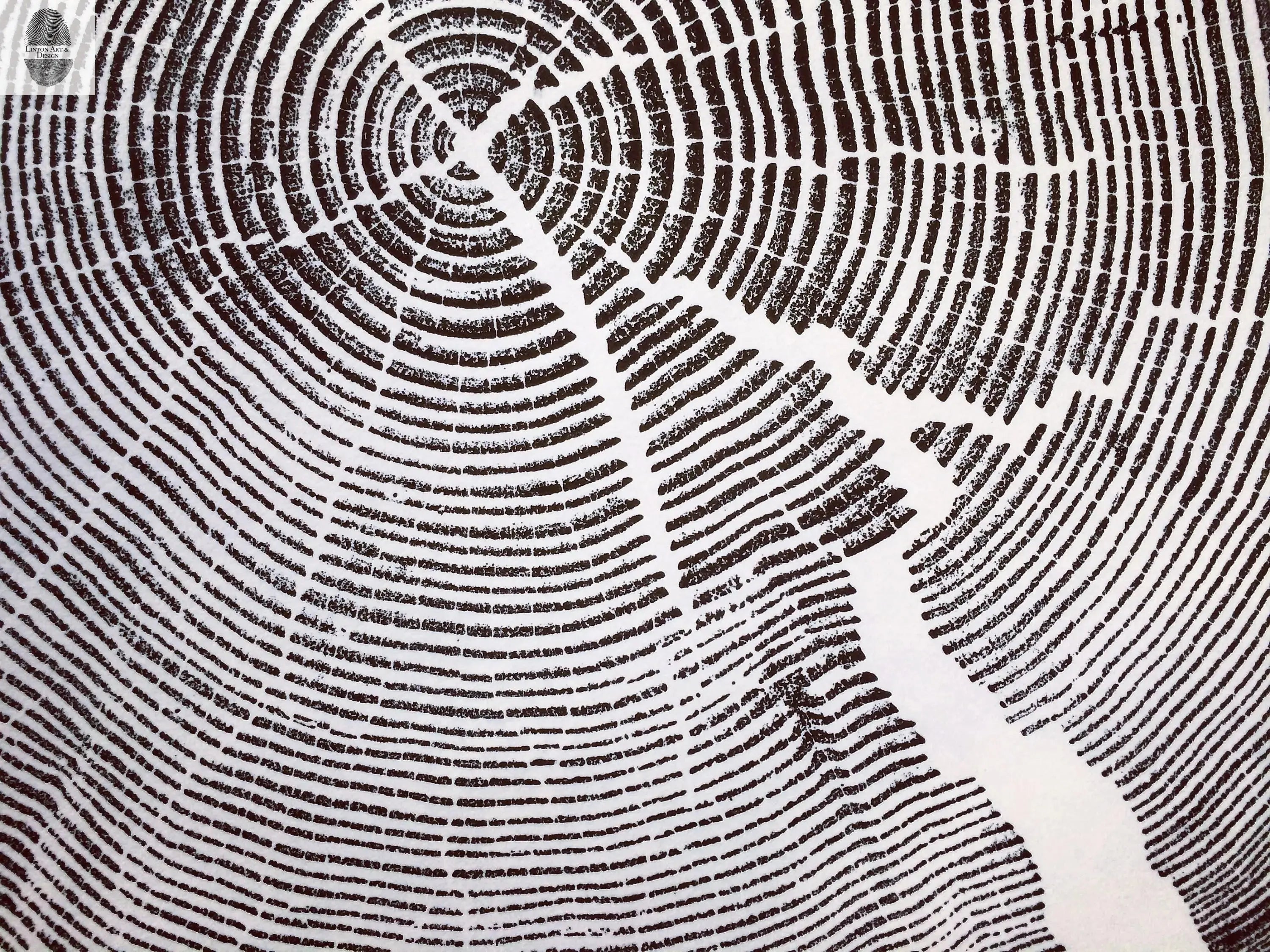 Crater Lake art, Oregon Print, Tree ring print, Woodcut print, Wood Wall art, Sacred Geometry, Forestry, National Parks, Signed Original