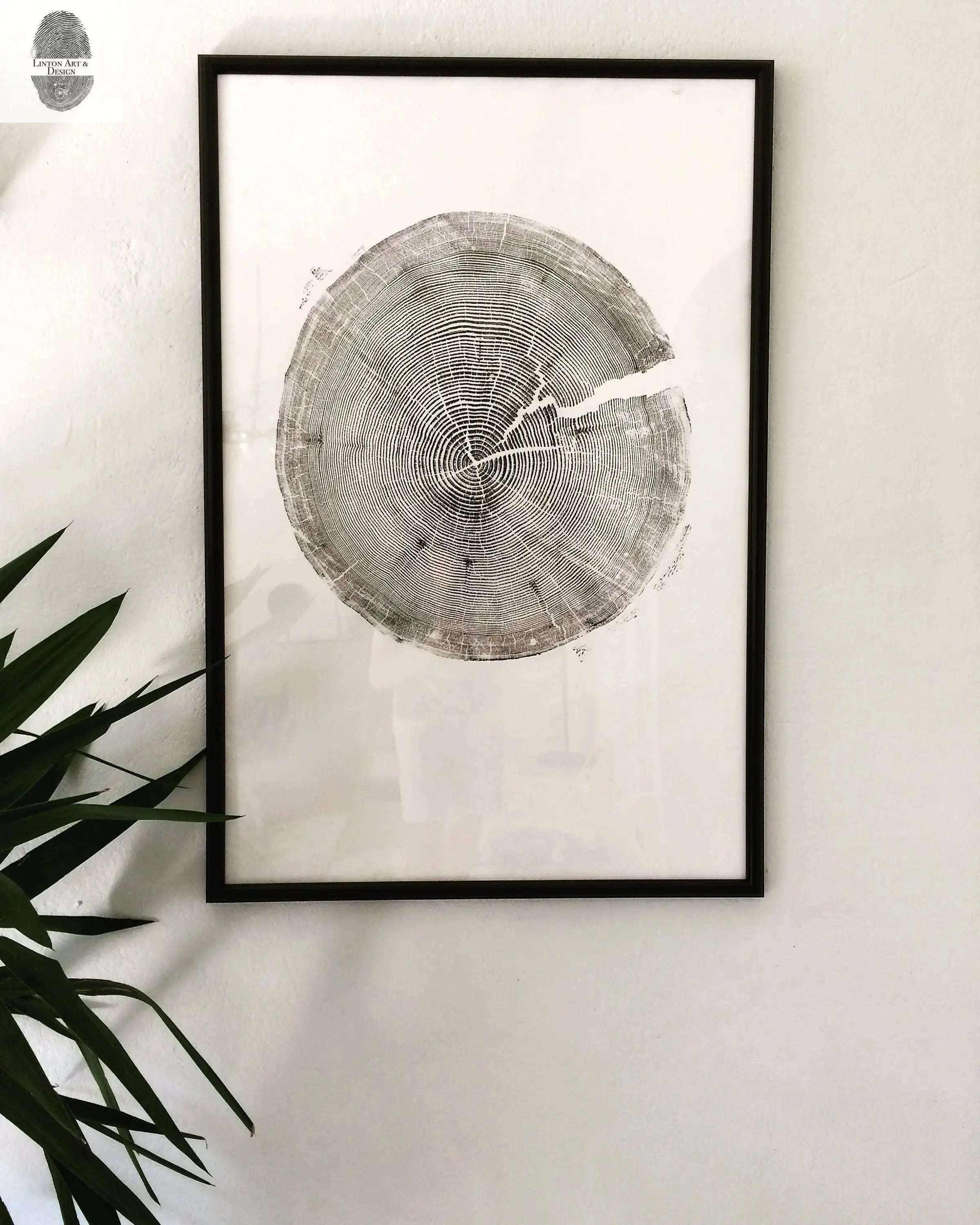 Crater Lake art, Oregon Print, Tree ring print, Woodcut print, Wood Wall art, Sacred Geometry, Forestry, National Parks, Signed Original