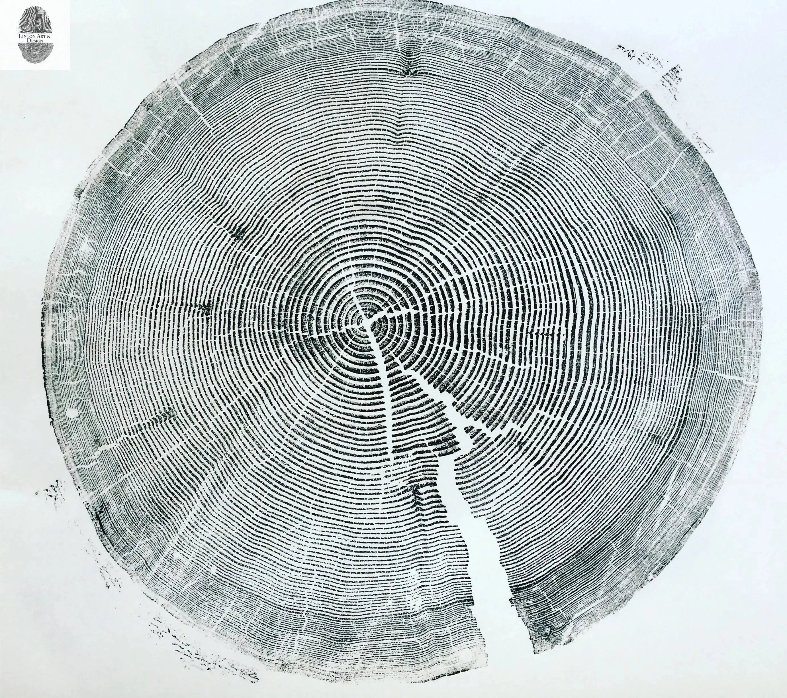 Crater Lake art, Oregon Print, Tree ring print, Woodcut print, Wood Wall art, Sacred Geometry, Forestry, National Parks, Signed Original