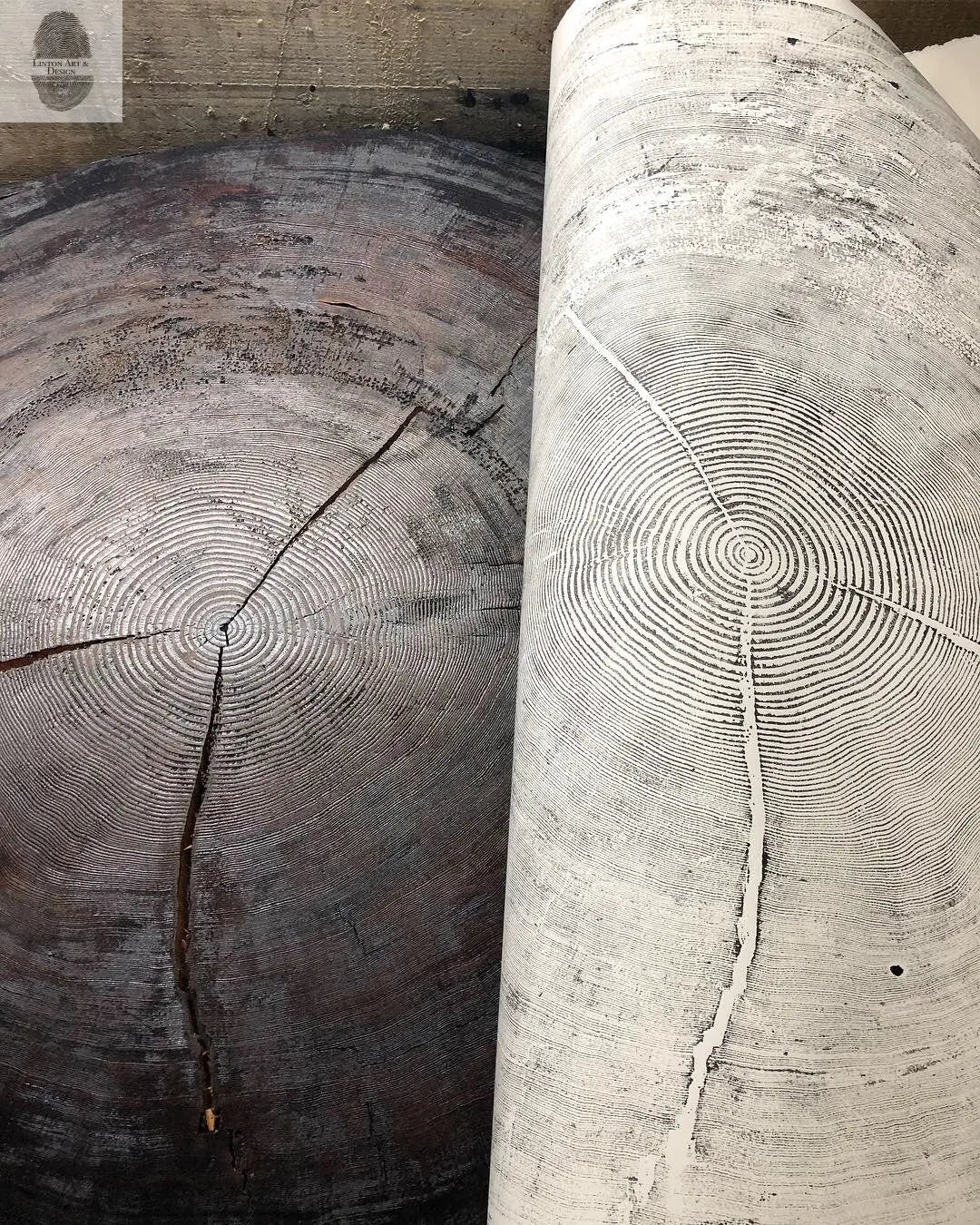 Oregon Coast Sitka Spruce - 52x60 - Tree Wall Art