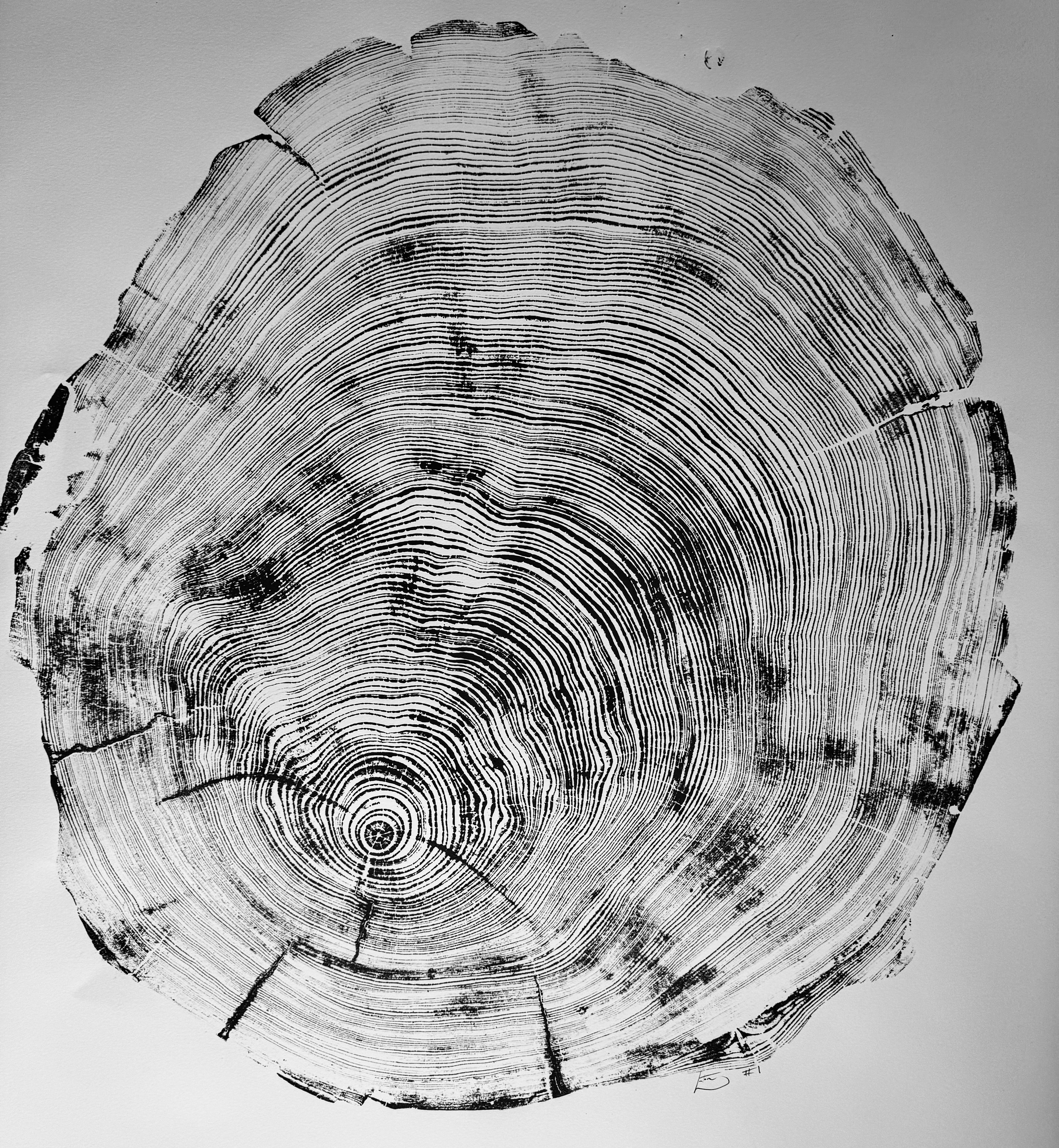 San Francisco, Real Redwood Art, 36x48 Inches. Original Signed artwork made from Real Redwood