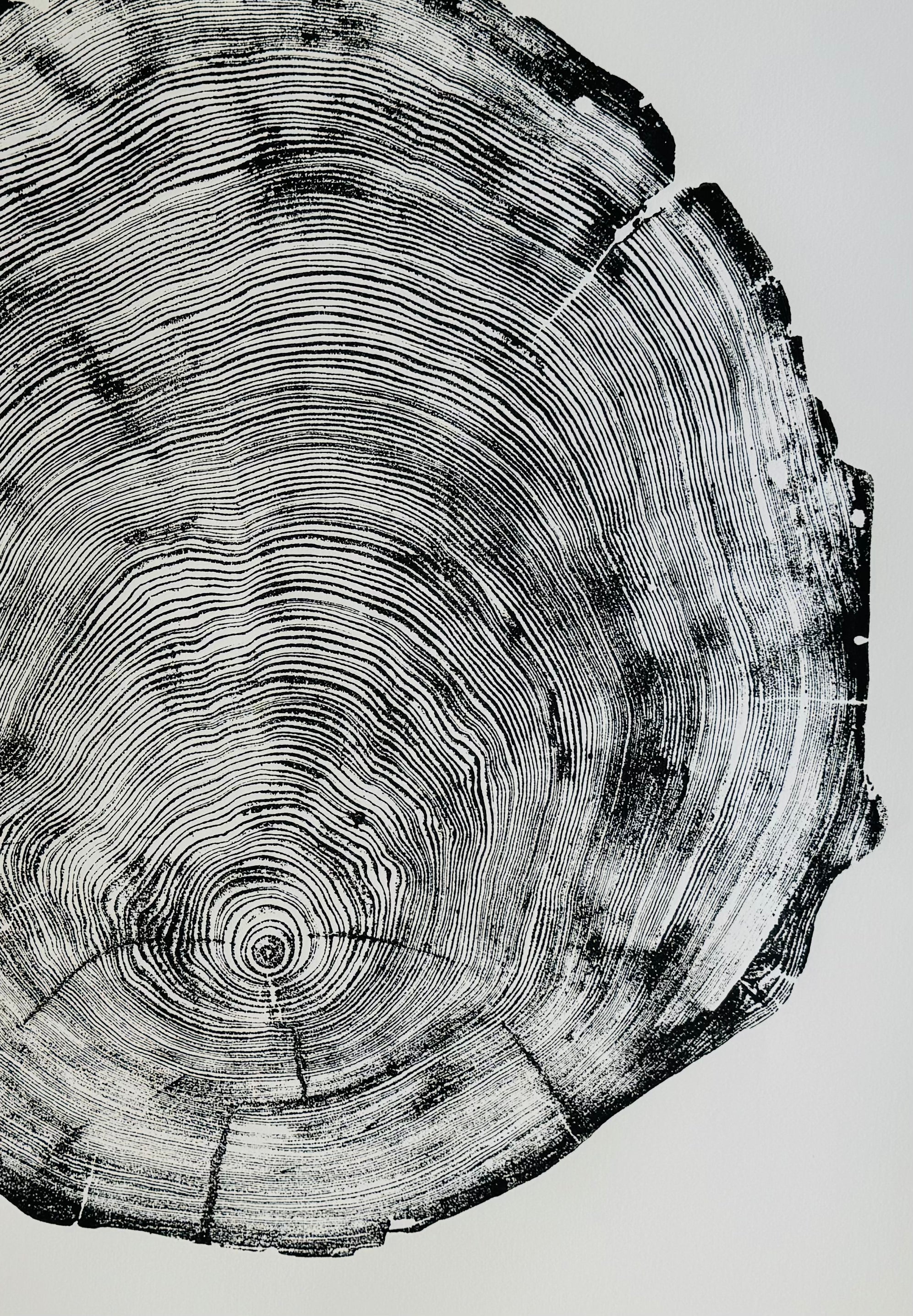 San Francisco, Real Redwood Art, 36x48 Inches. Original Signed artwork made from Real Redwood