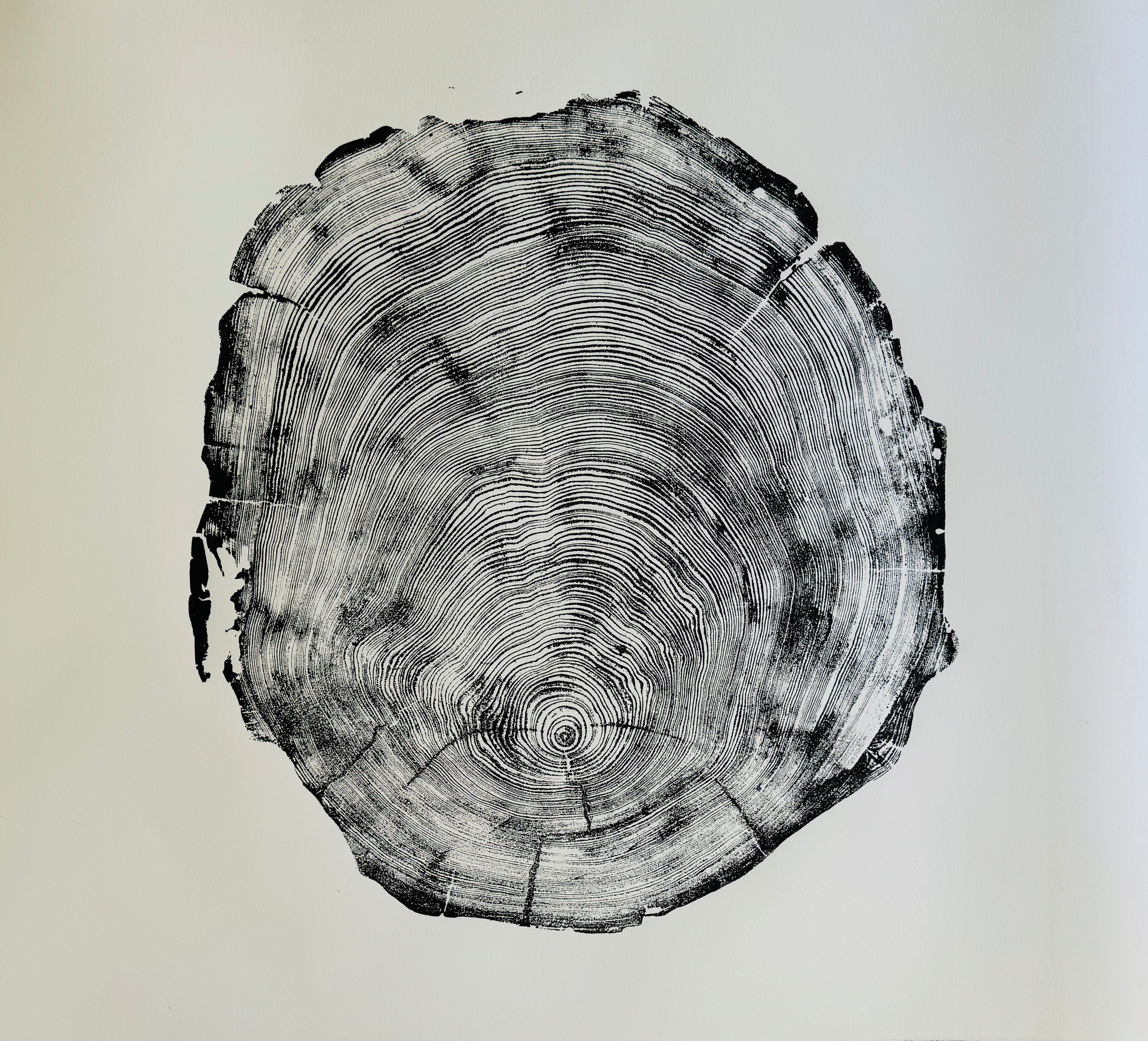 San Francisco, Real Redwood Art, 36x48 Inches. Original Signed artwork made from Real Redwood