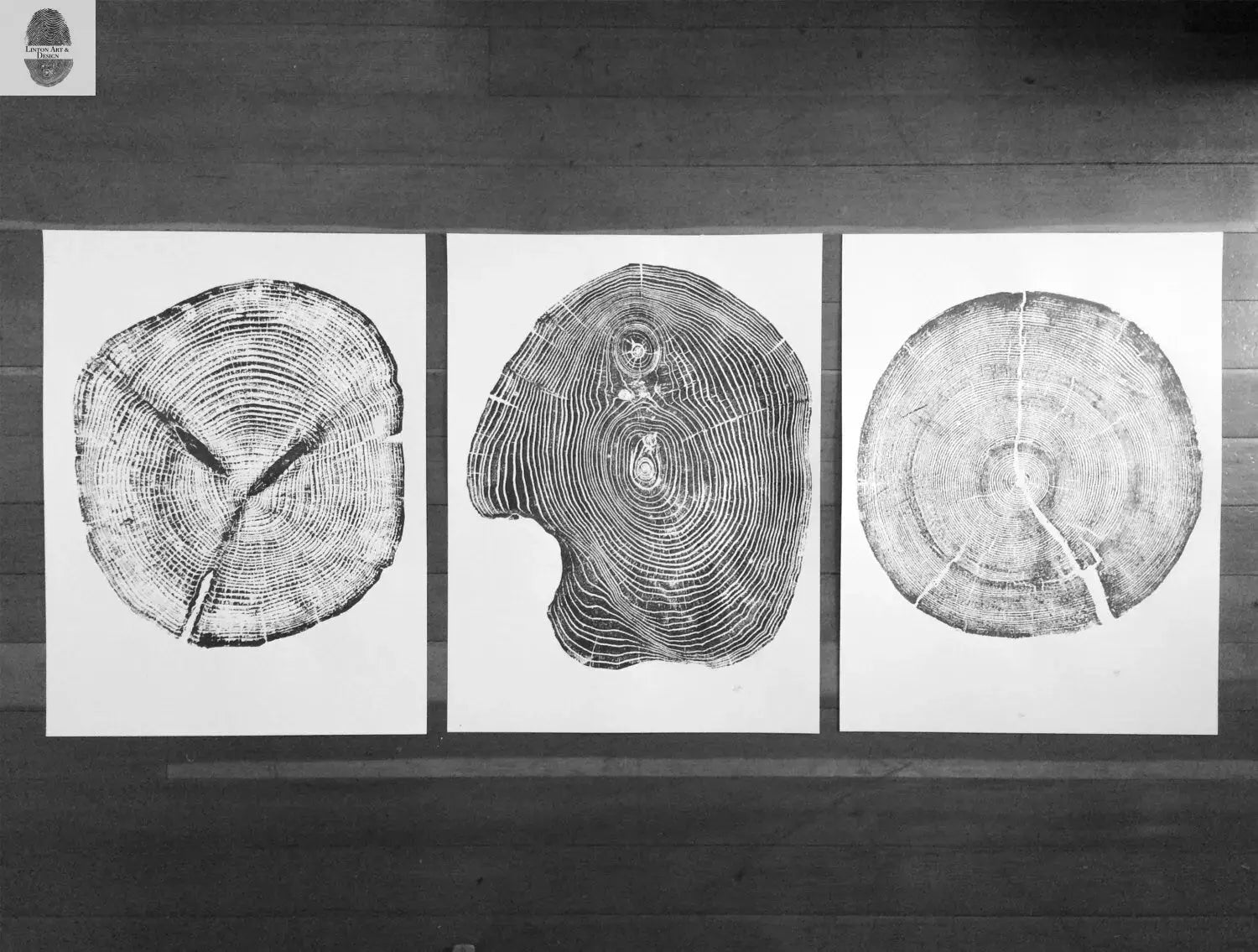 Set of 3, Utah Art, Alaska Art, Ohio State Art, Mulberry Tree, Cedar Tree, Wood Slice Wall Art