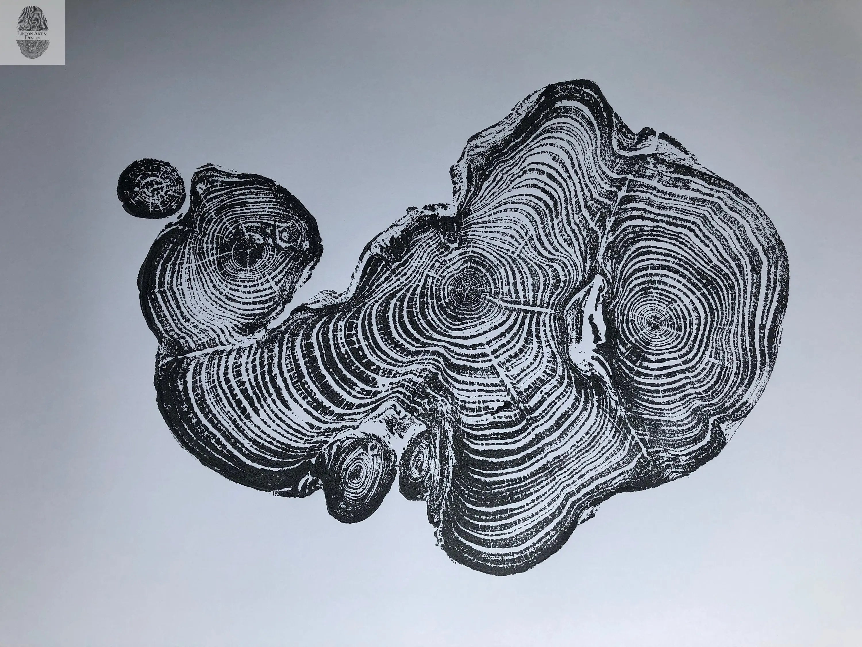 Cypress from Ireland, Tree ring art print, Tree stump print, first anniversary gift, 18x24 inch woodcut, fifth anniversary gift, Linton Art