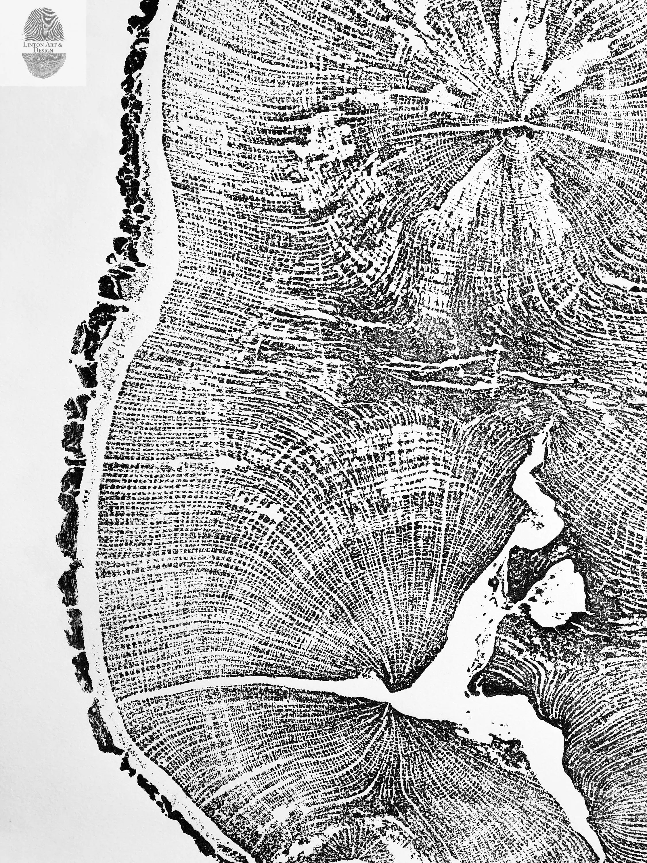 English Oak, Tree ring art print, Oak from Liverpool UK, Anniversary art, Tree ring art, Tree rings, Original Woodcut print by Erik Linton