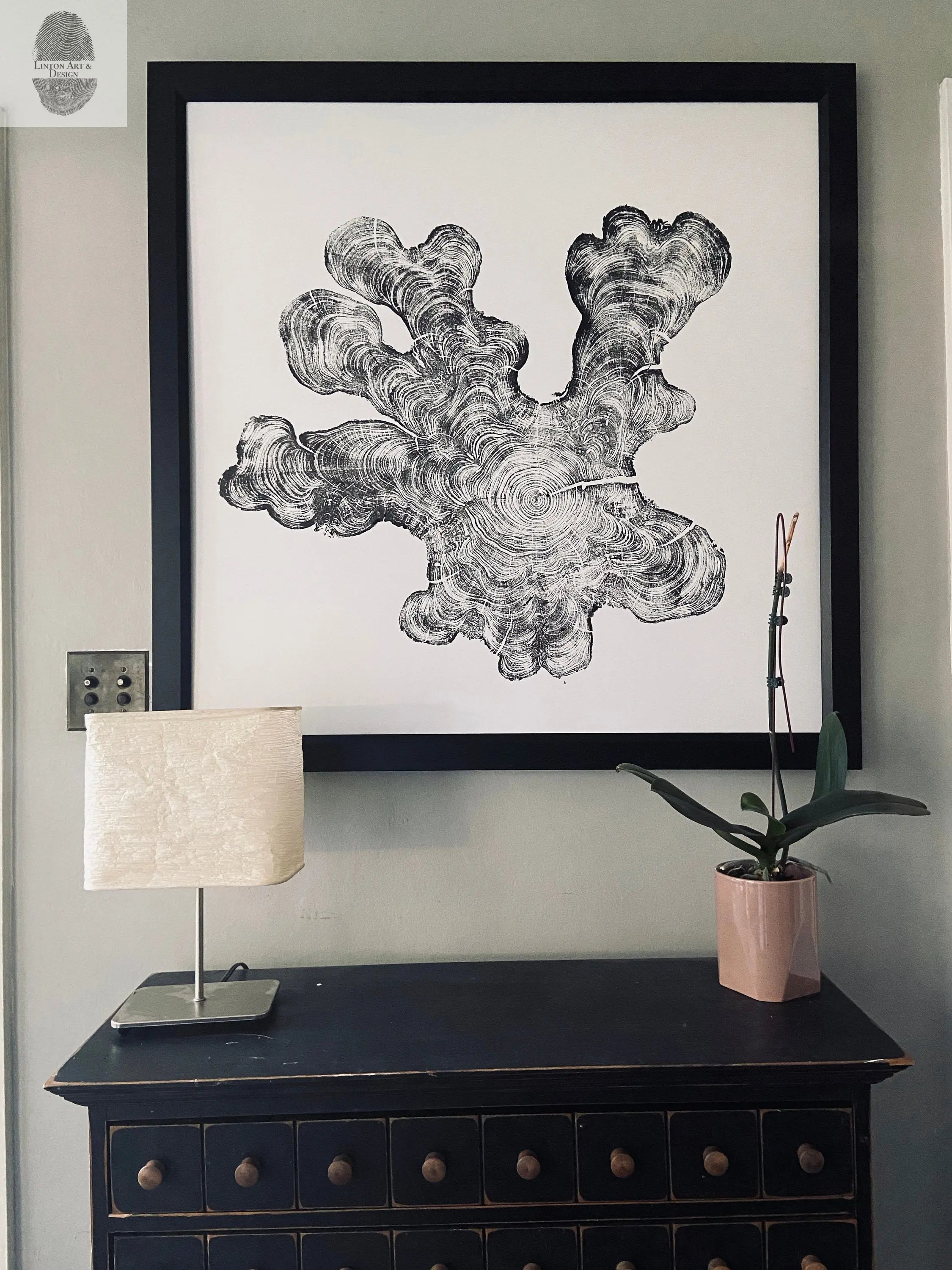 Florida Print, Everglades Art, Big Cypress, Osceola, Tree Ring Print, Huge Wall Art