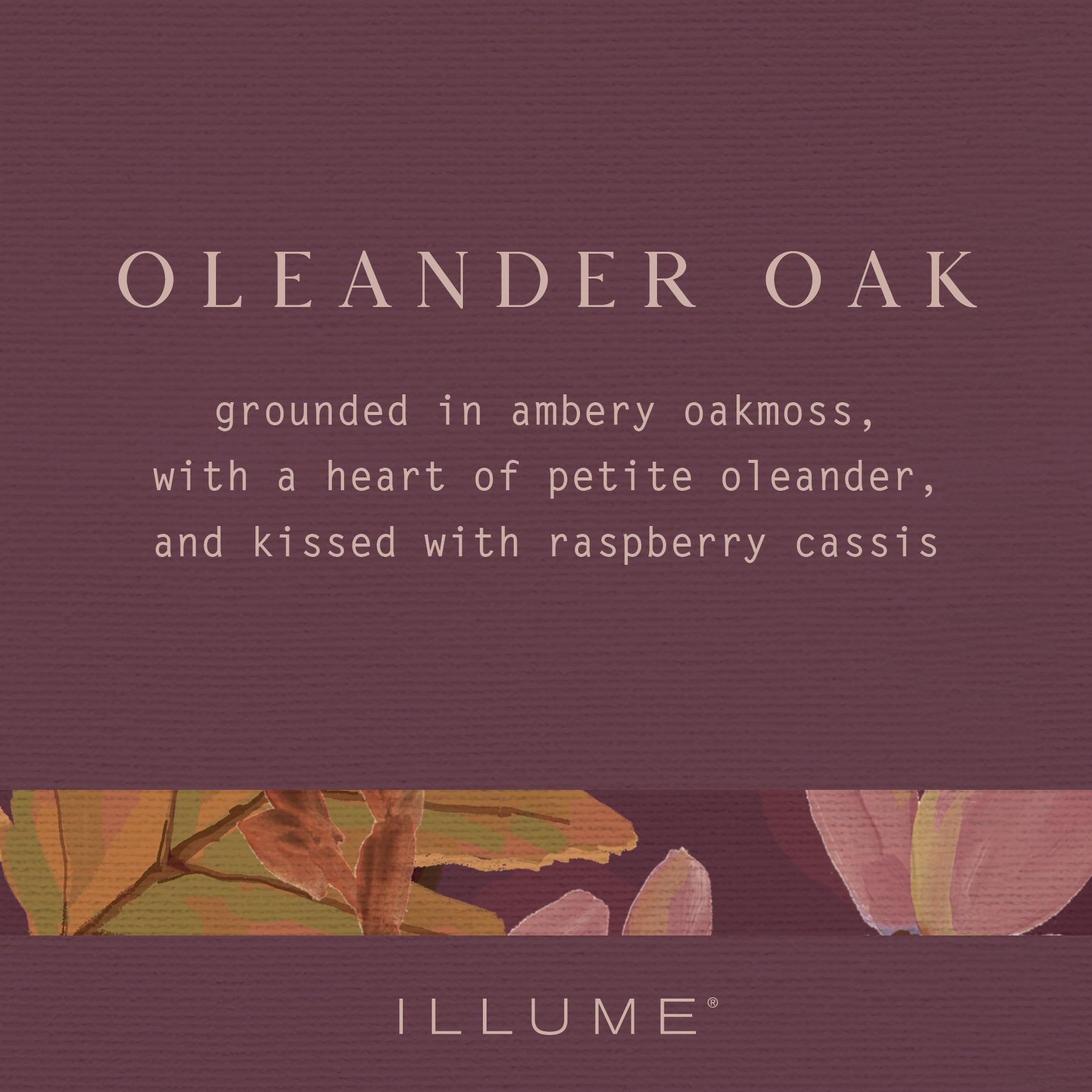 Lotion Fragrance
Grounded in ambery oakmoss, with a heart of petite oleander, kissed with raspberry cassis