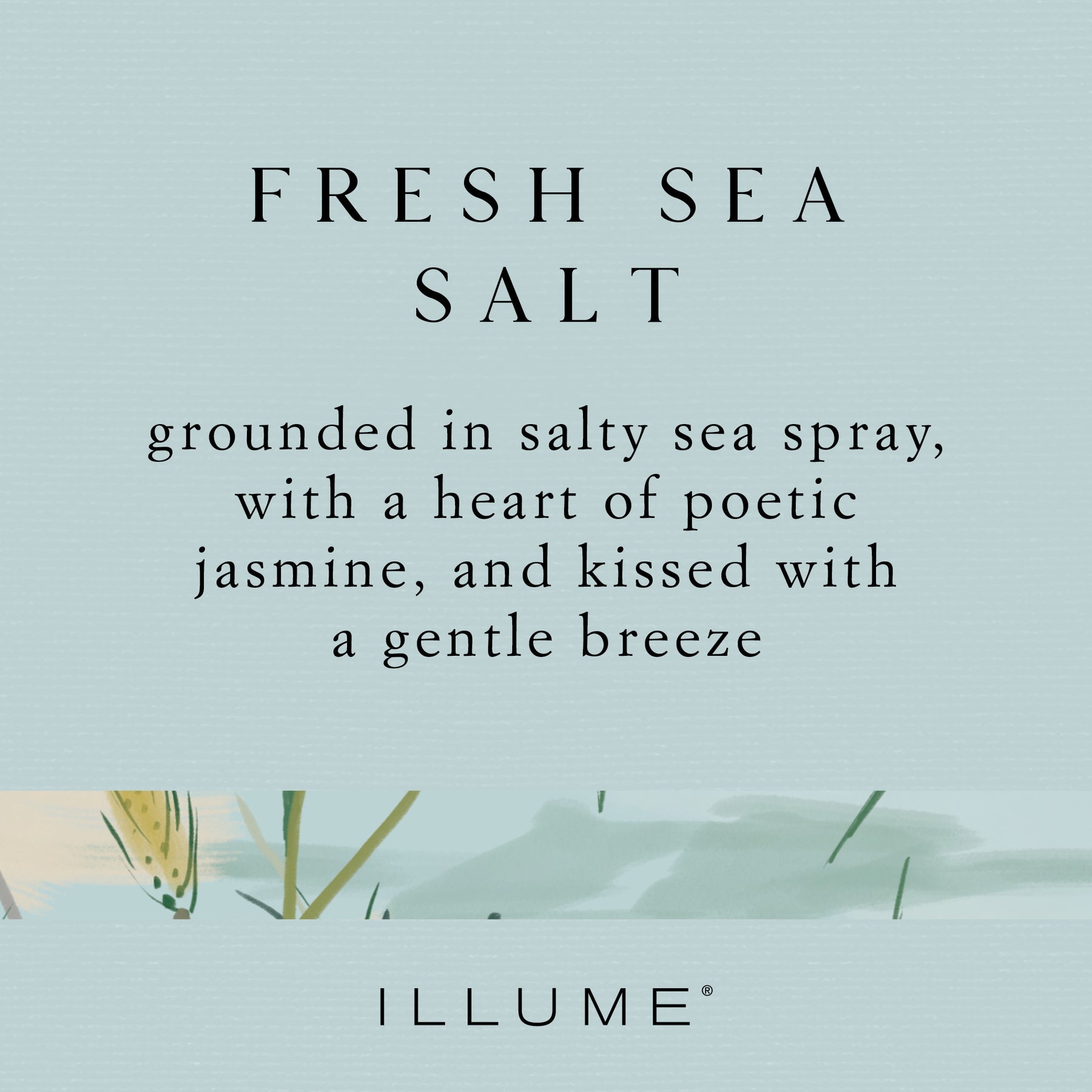 Fresh Sea Salt Vanity Tin Candle