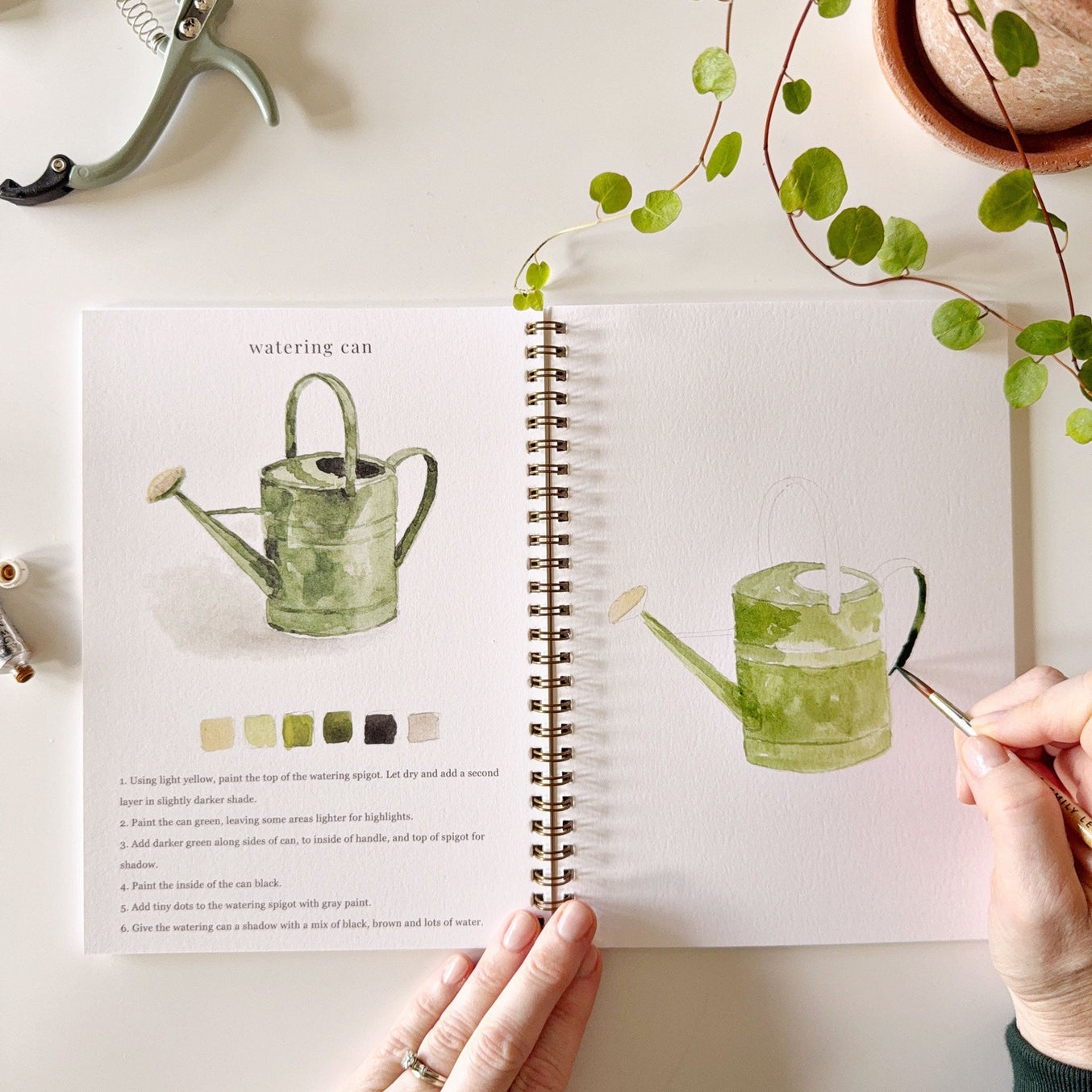 Watercolor workbooks are just like a coloring book, but with watercolor! Enjoy this peaceful hobby on your own, with kids, and with friends. Makes a wonderful gift. Perfect for artists of any age.