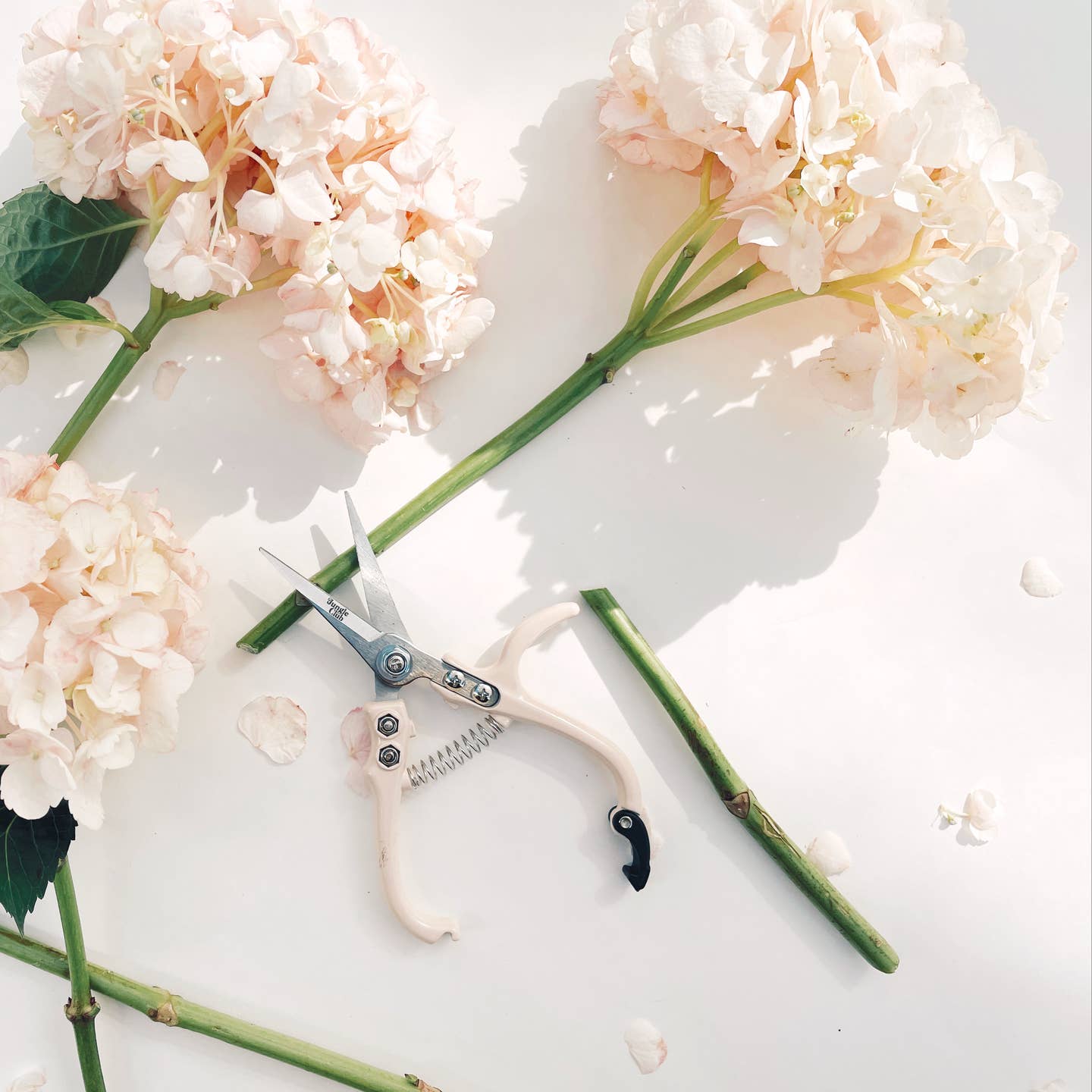 Pruning Shears - 3 Colors Available