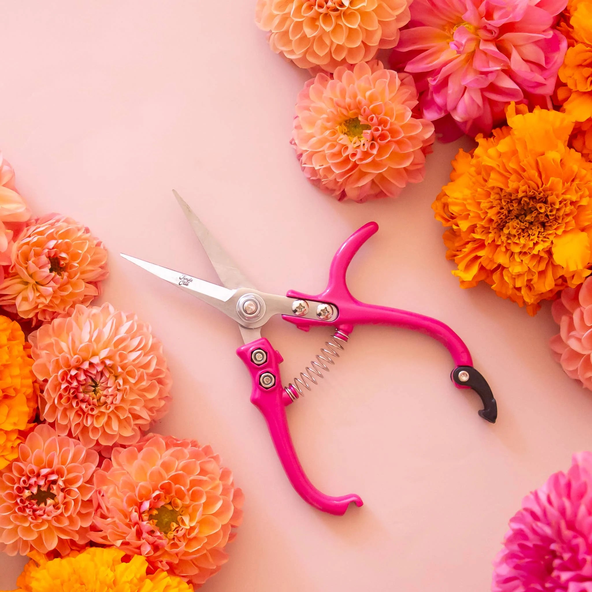 The best way to prune your plants is in style, of course. With an ergonomic handle and a support pillar for extra control, these garden snips are perfect for light pruning, snipping and deadheading. Created by Jungle Club these pruning shears are not only adorable, but also a planting tool you can't live without.
Details:
Dimensions | 6.5” x 3”
Shear Length | 2.4”
Cutting Capacity | 6mm
Materials | High Carbon SK-5 Steel, Hard Chrome Plated, Aluminum Handle
Imported