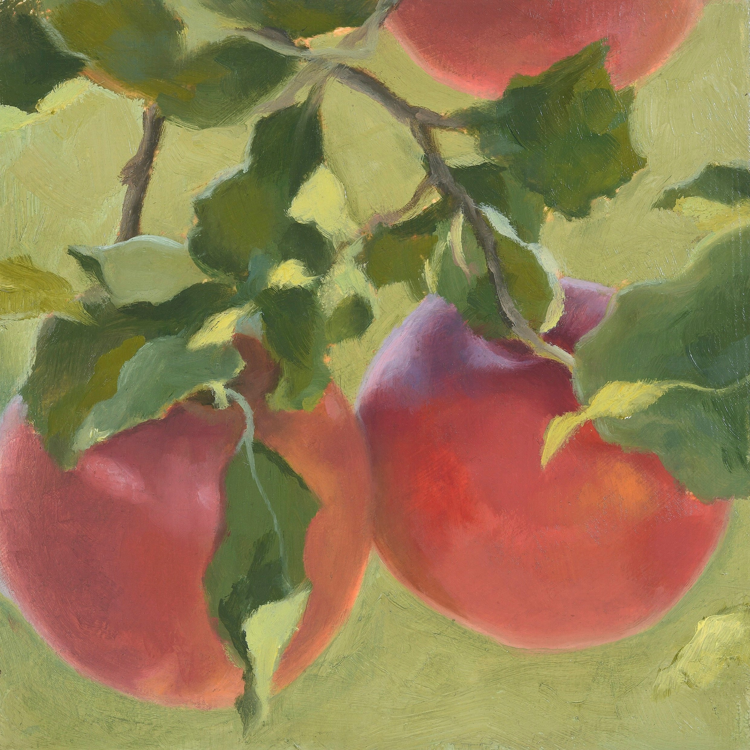 Three apples on a branch with green leaves adorning them.