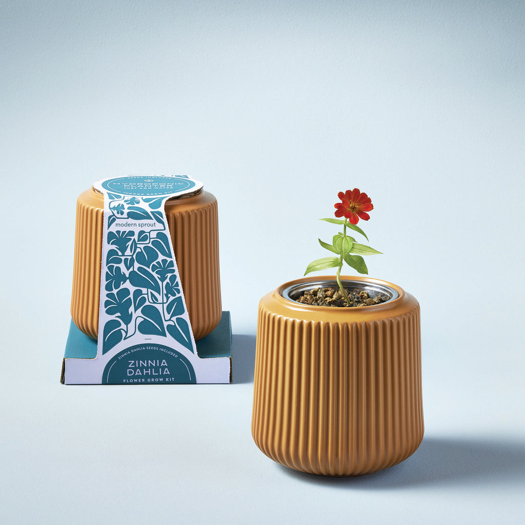 This fluted ceramic planter includes a complete grow kit with an immersion hydroponics setup that wicks water to flowers as needed. These hand-selected collection of flower varieties are meant to last in the home, so you can marvel at the beauty of fresh flowers, every day. Just add water!