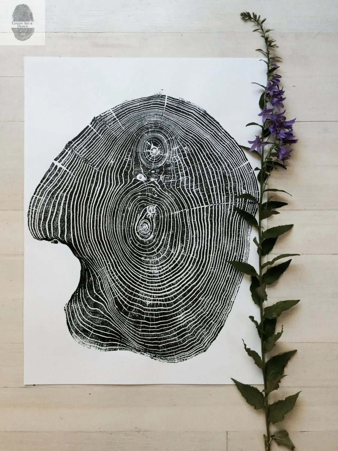 Mulberry Tree Print - 18x24 Tree Ring Art - Signed Original