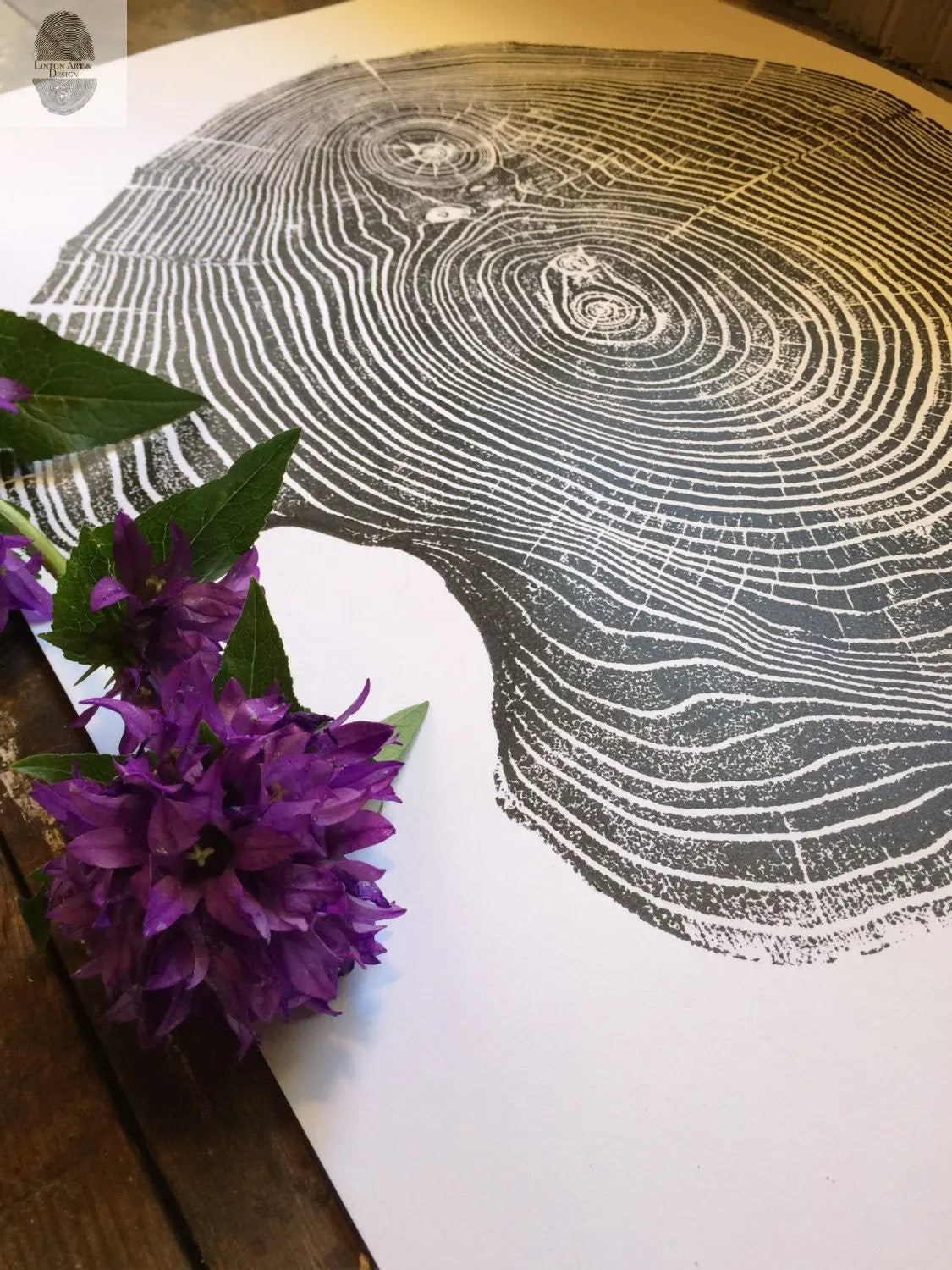 Mulberry Tree Print - 18x24 Tree Ring Art - Signed Original