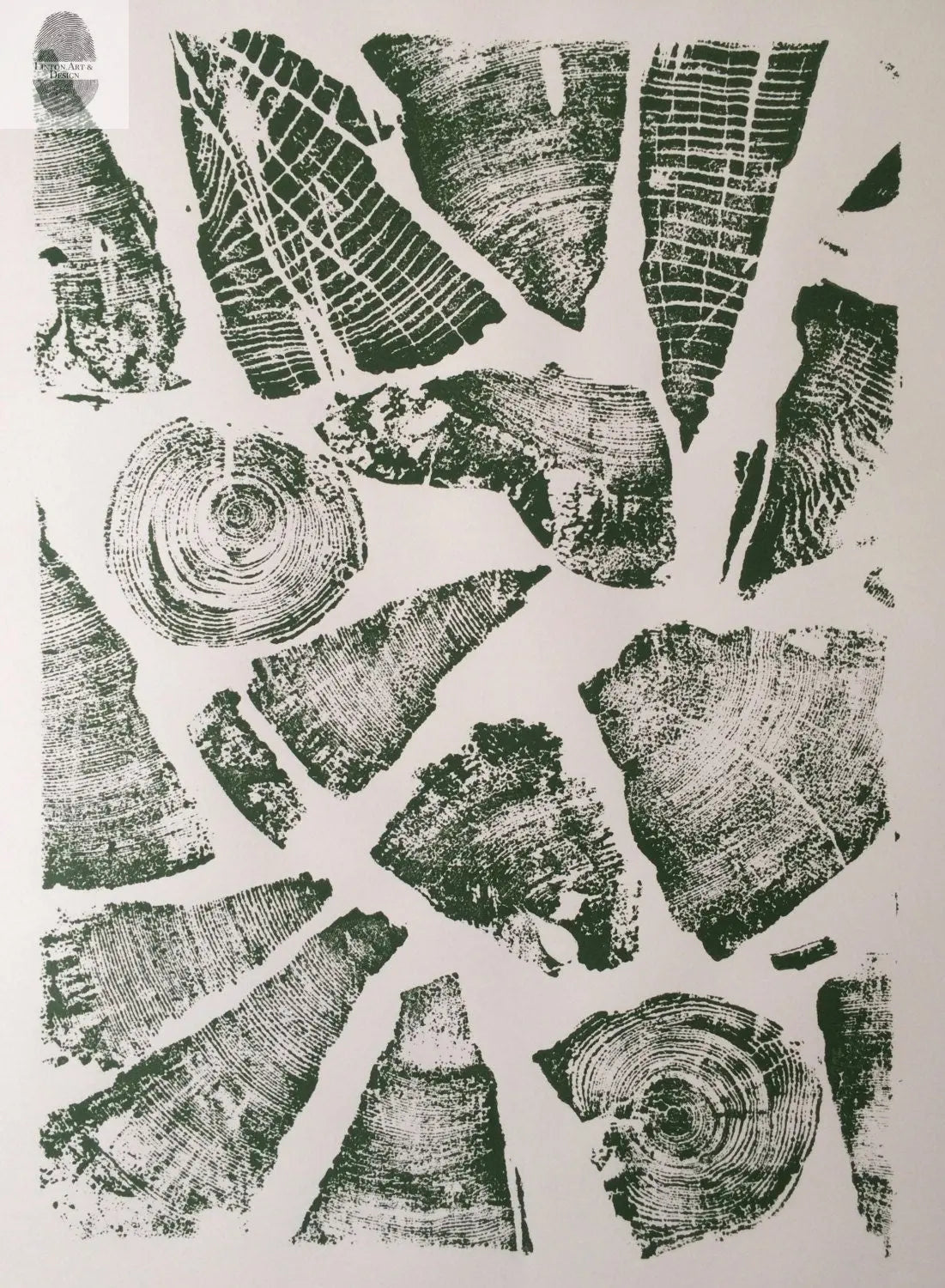 Natural Pattern Collage - 18x24 Print