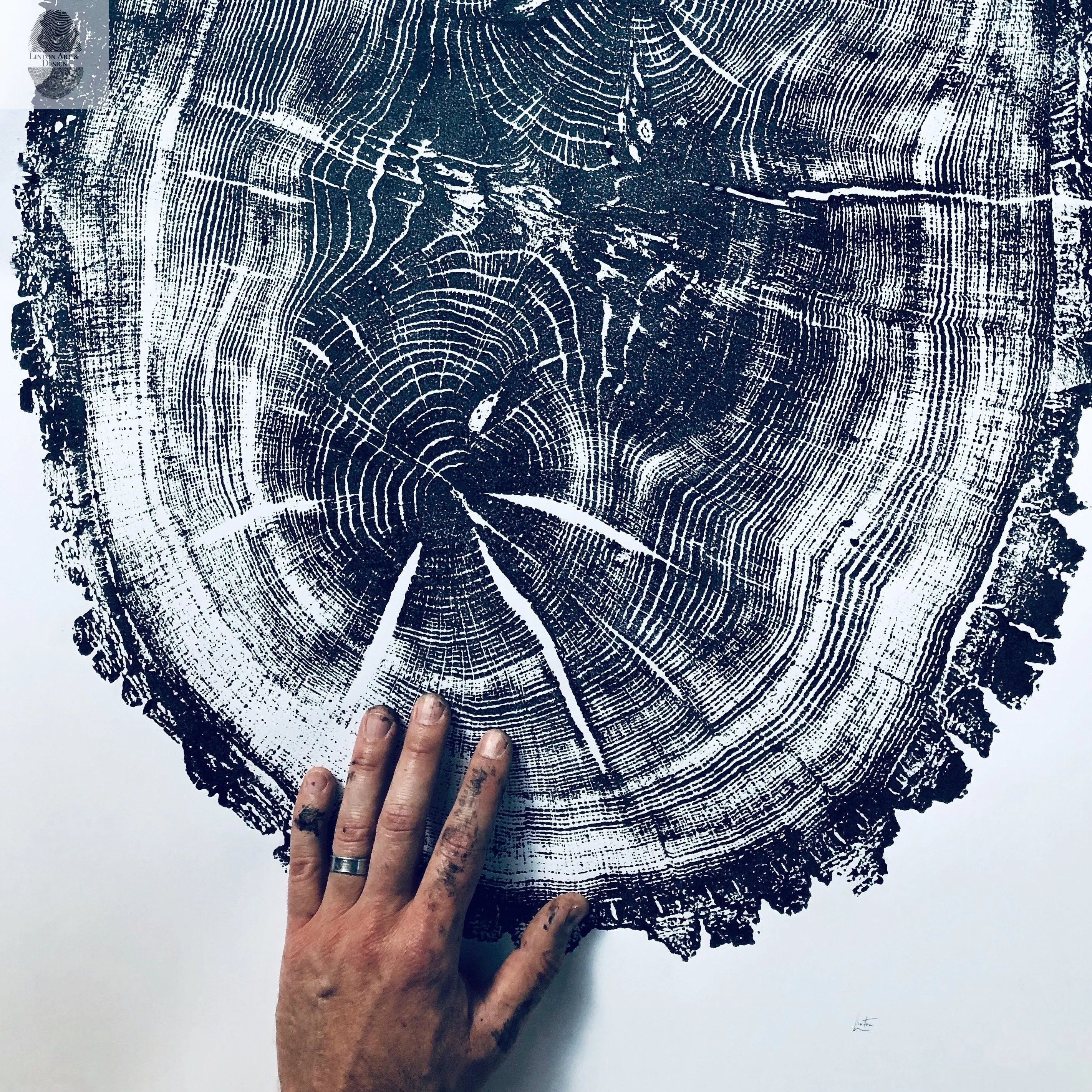 Nauvoo, Illinois Oak - 24x36 Print