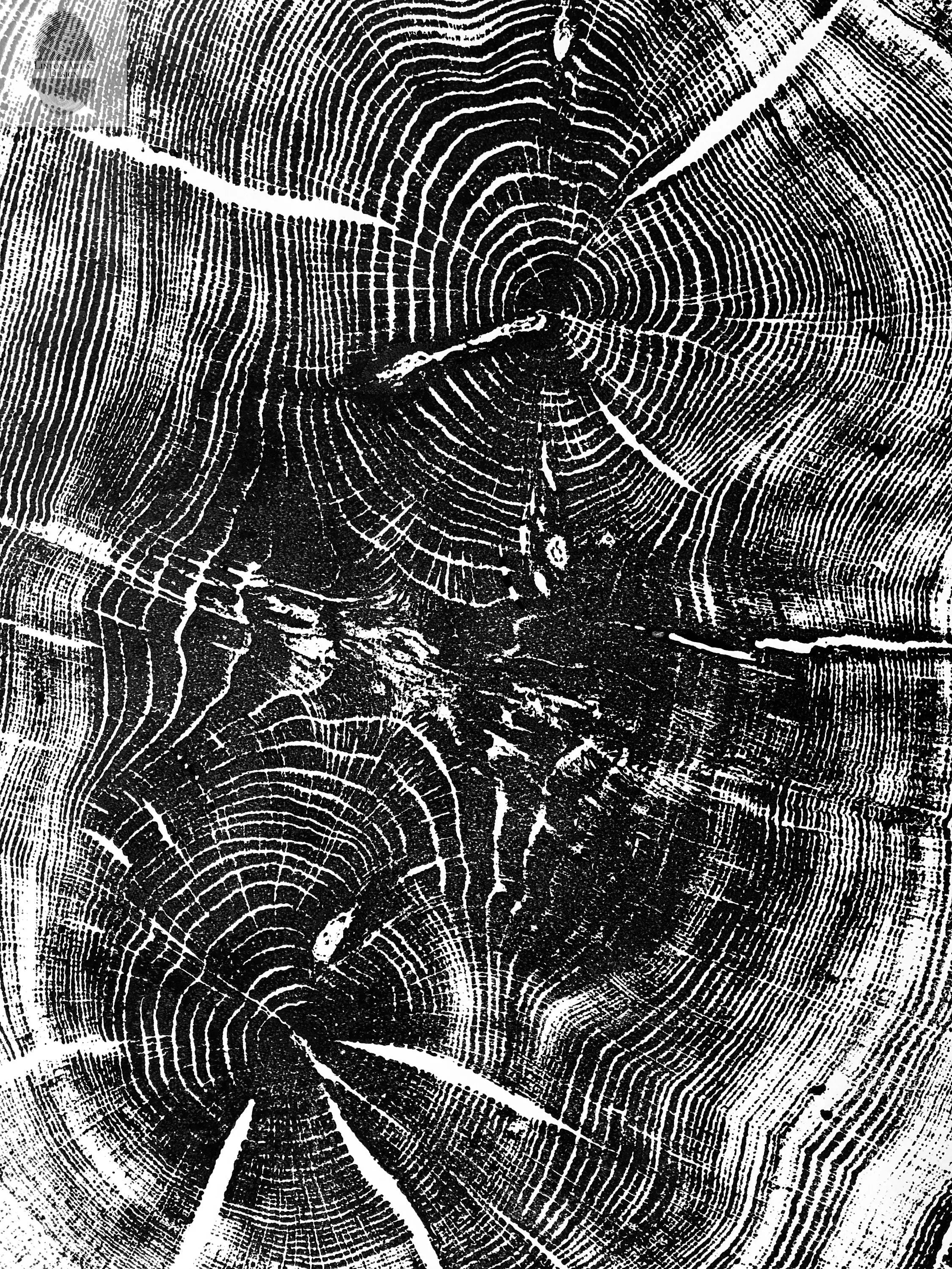 Nauvoo, Illinois Oak - 24x36 Print