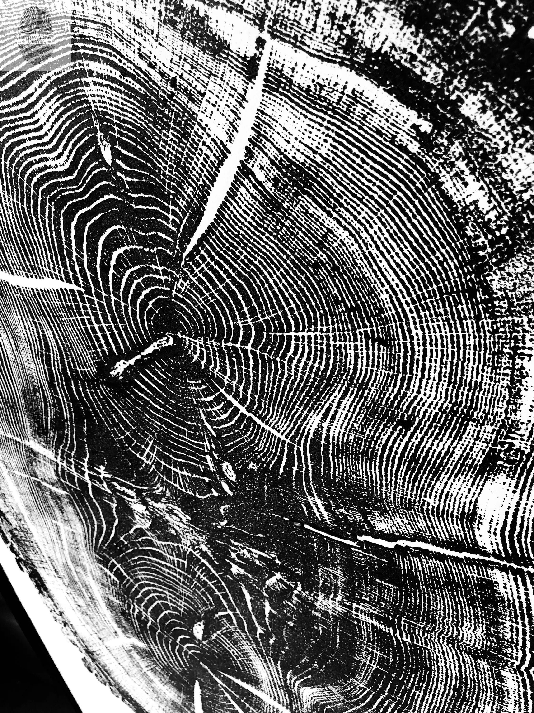 Nauvoo, Illinois Oak - 24x36 Print