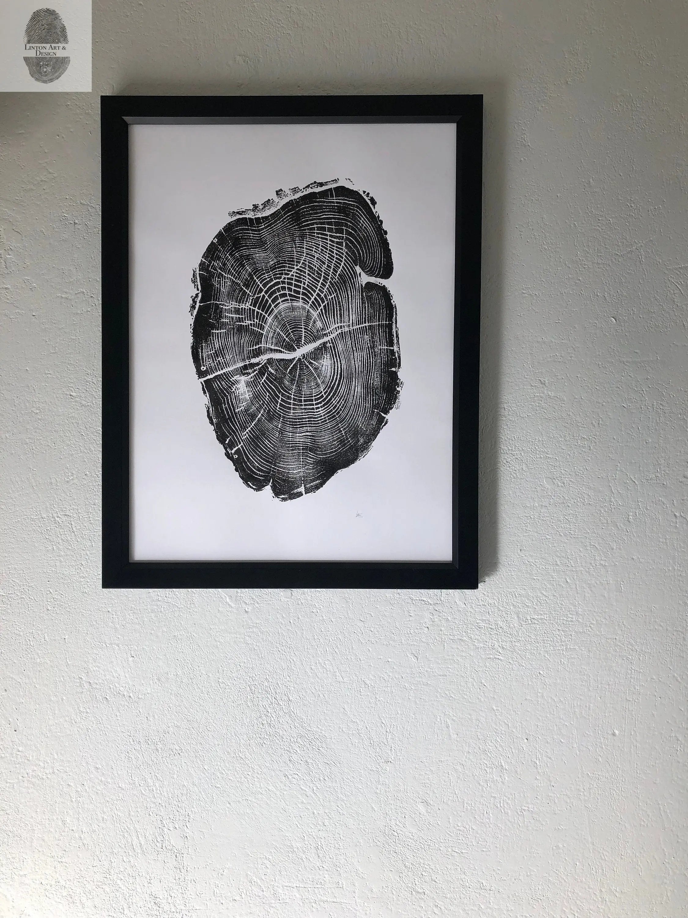 Nauvoo Illinois Osage Orange - 18x24 print