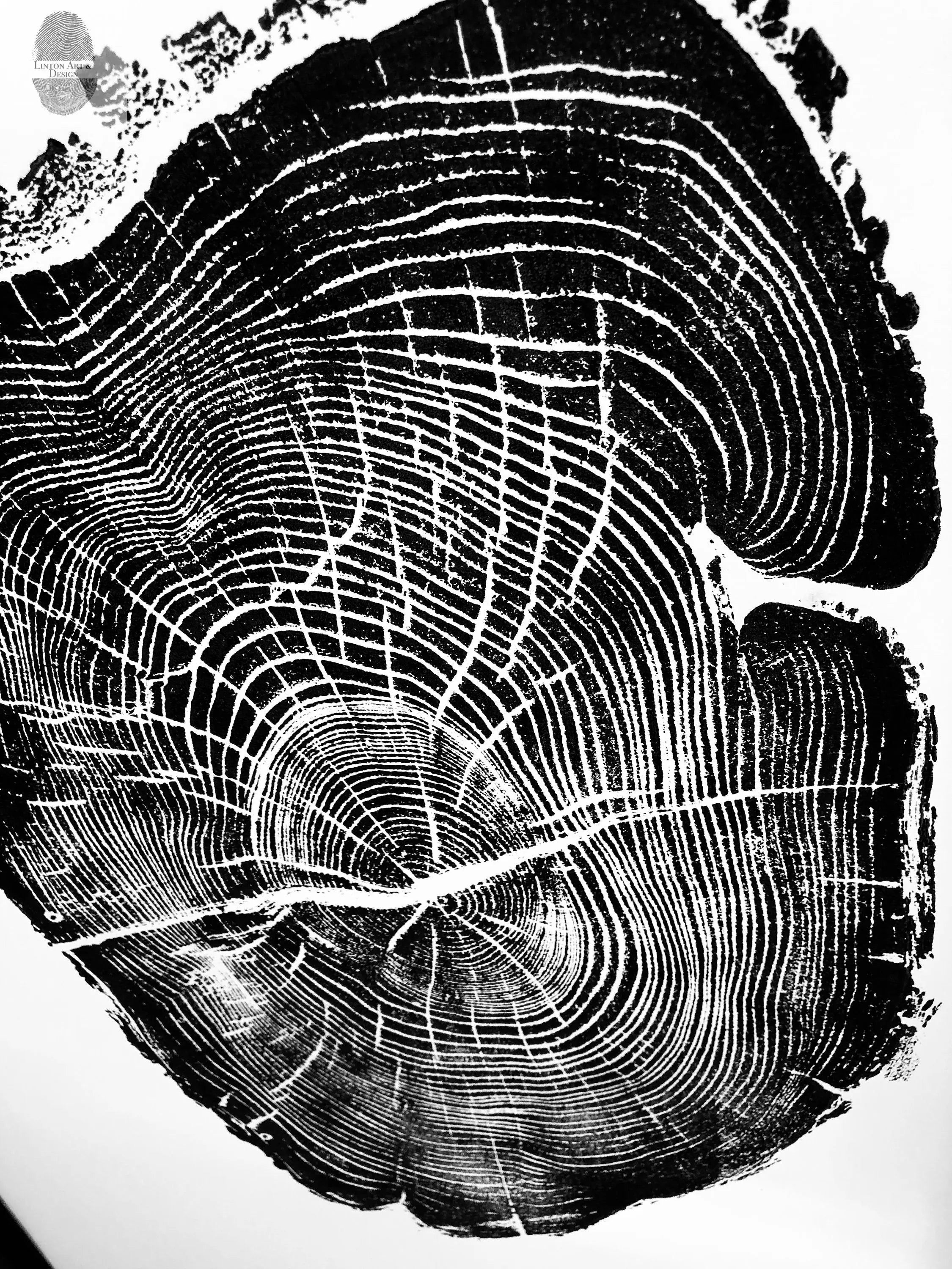 Nauvoo Illinois Osage Orange - 18x24 print