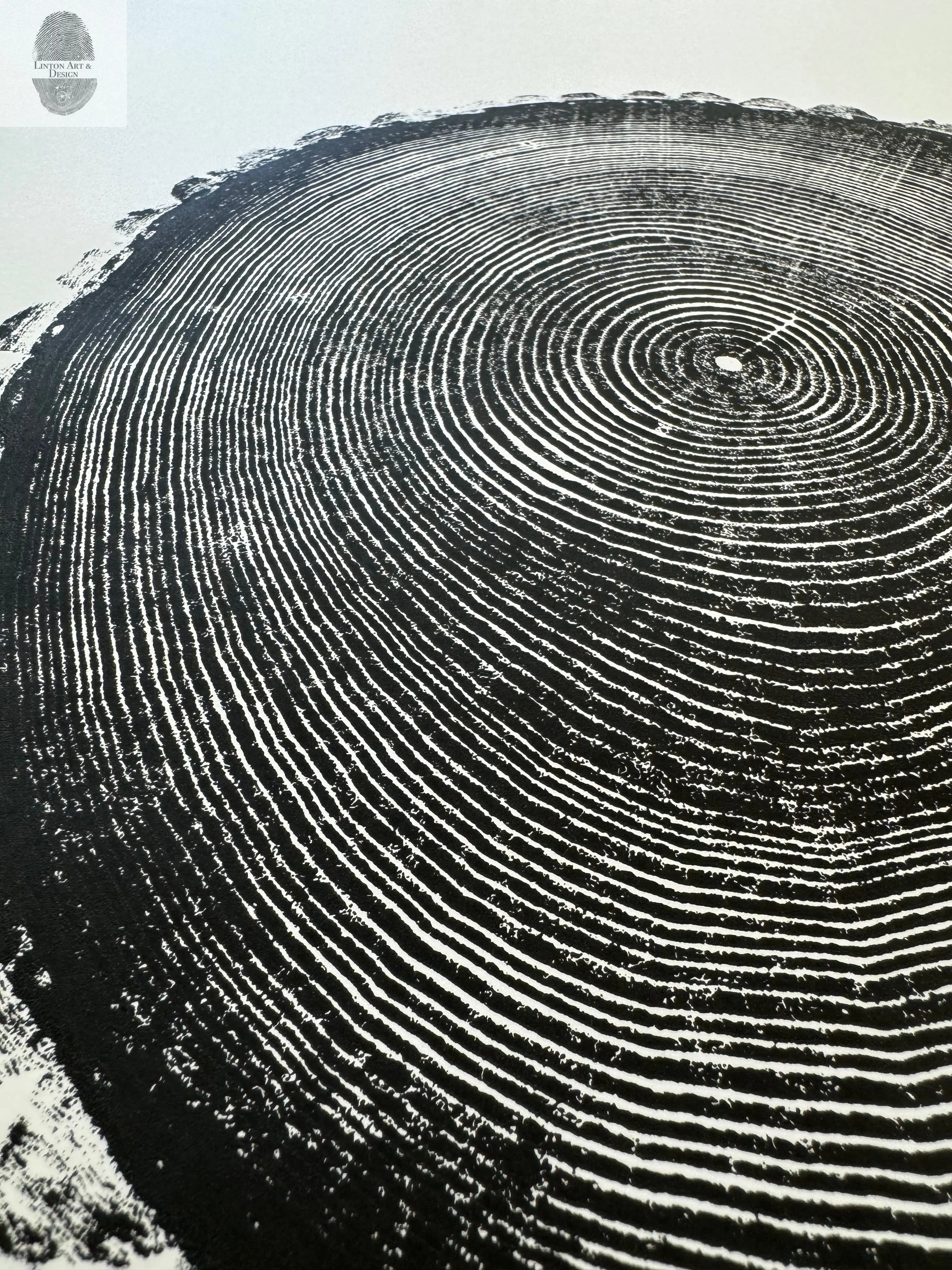 New Hampshire Ash: Beautiful Tree Ring Prints and Woodblock Art