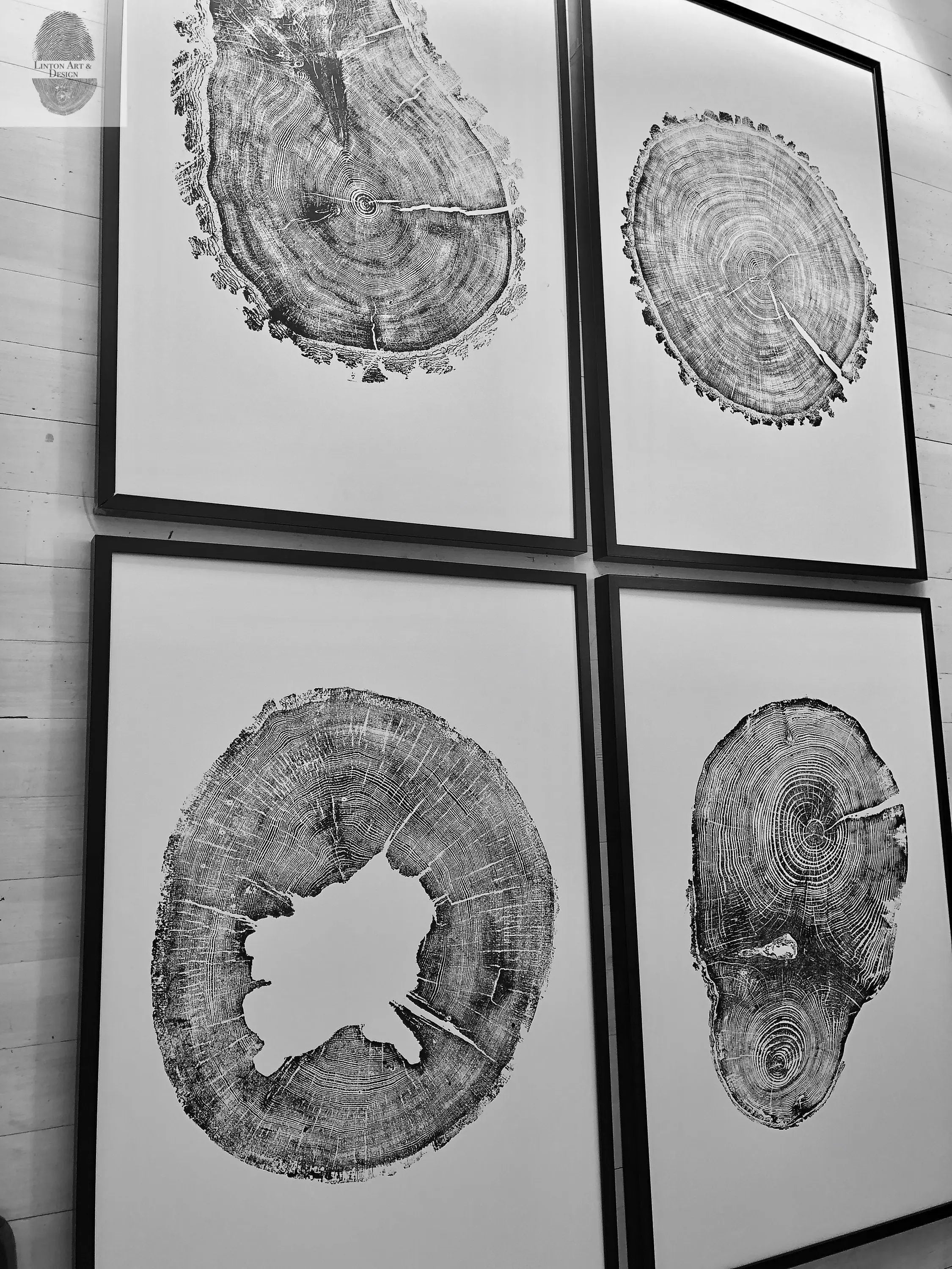 Oak, Pine, & Hemlock Set of 4 - 24x36 each print