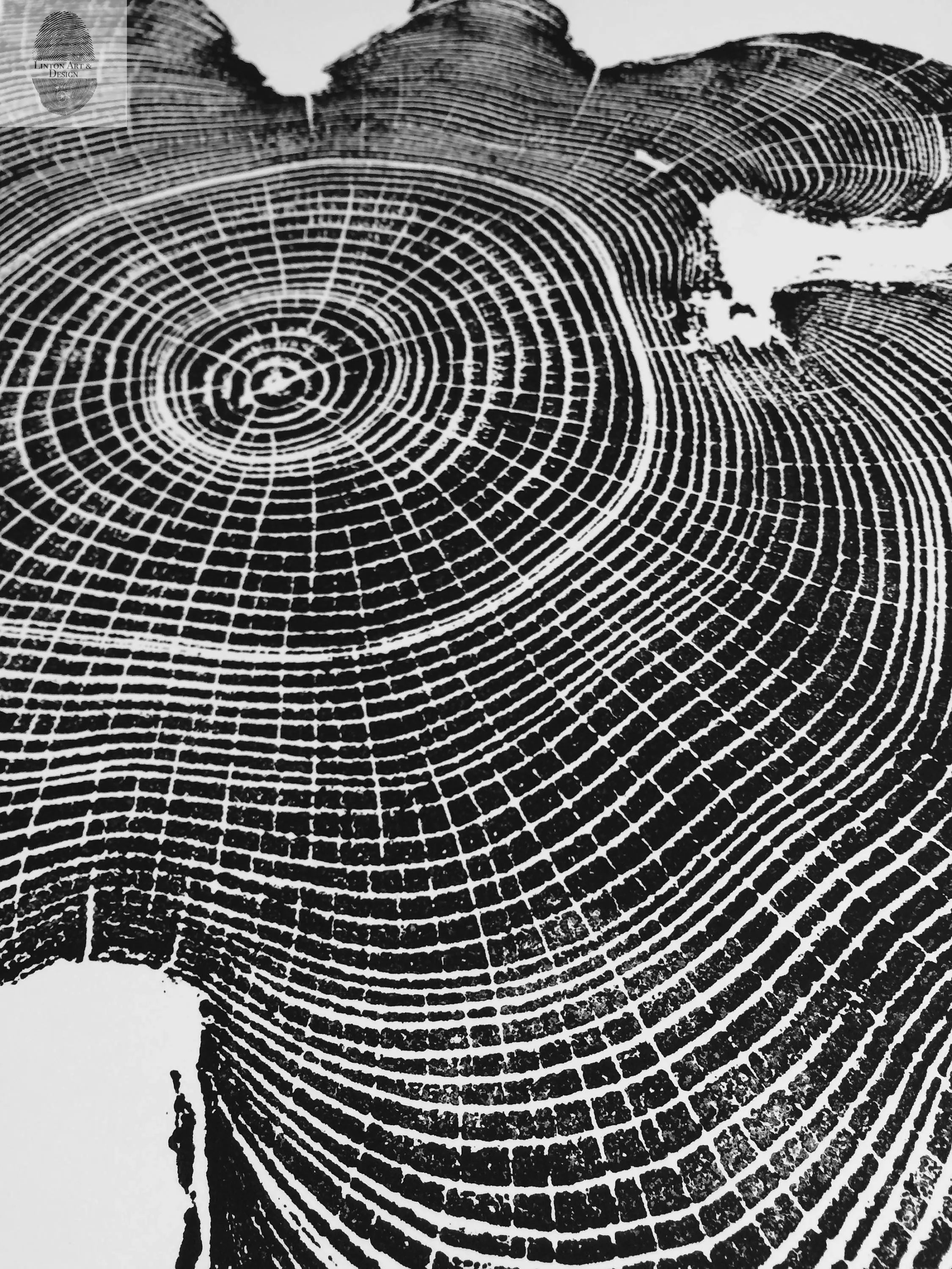 Ohio Locust tree art - 18x24 print