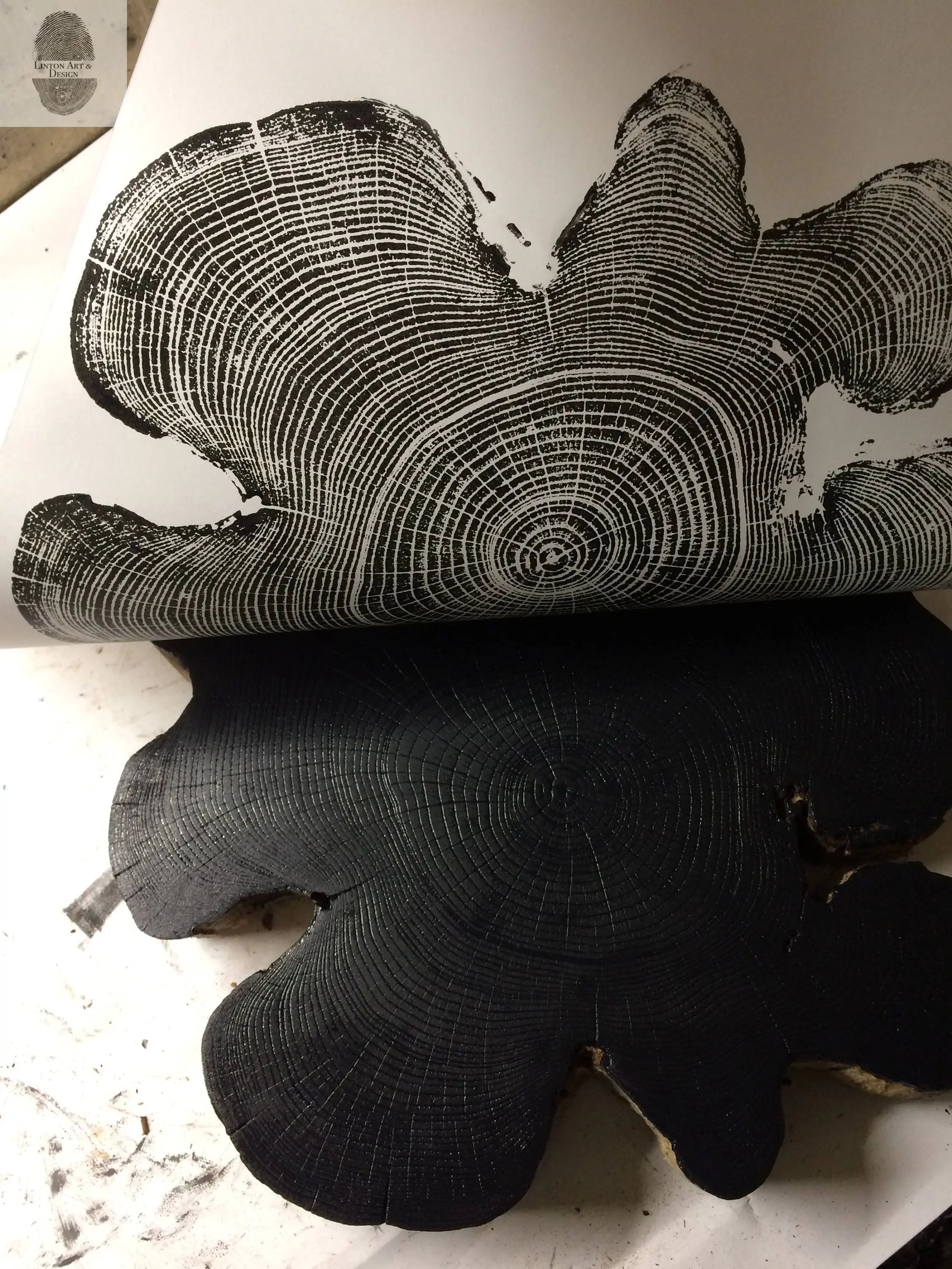 Ohio Locust tree art - 18x24 print