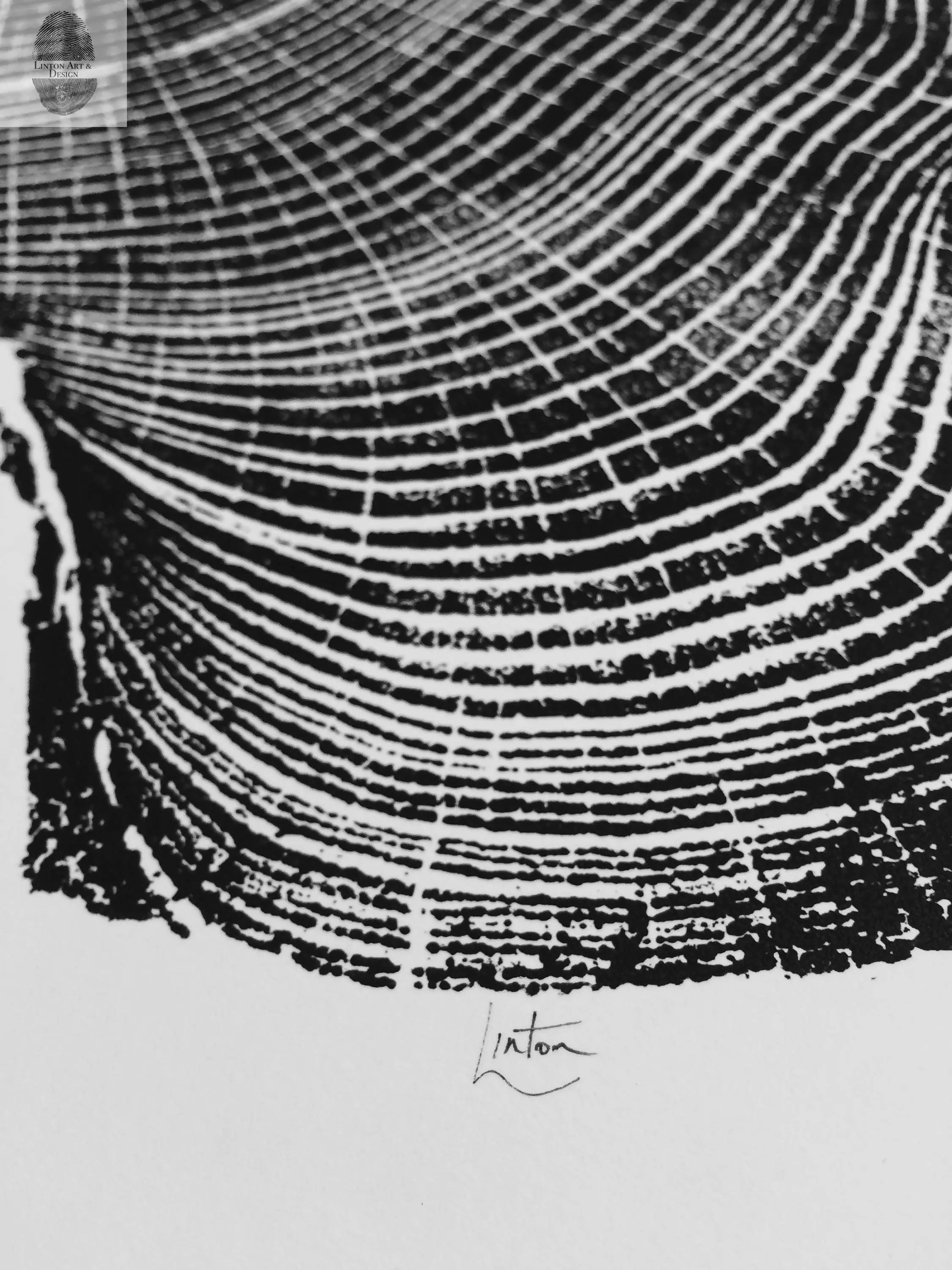 Ohio Locust tree art - 18x24 print