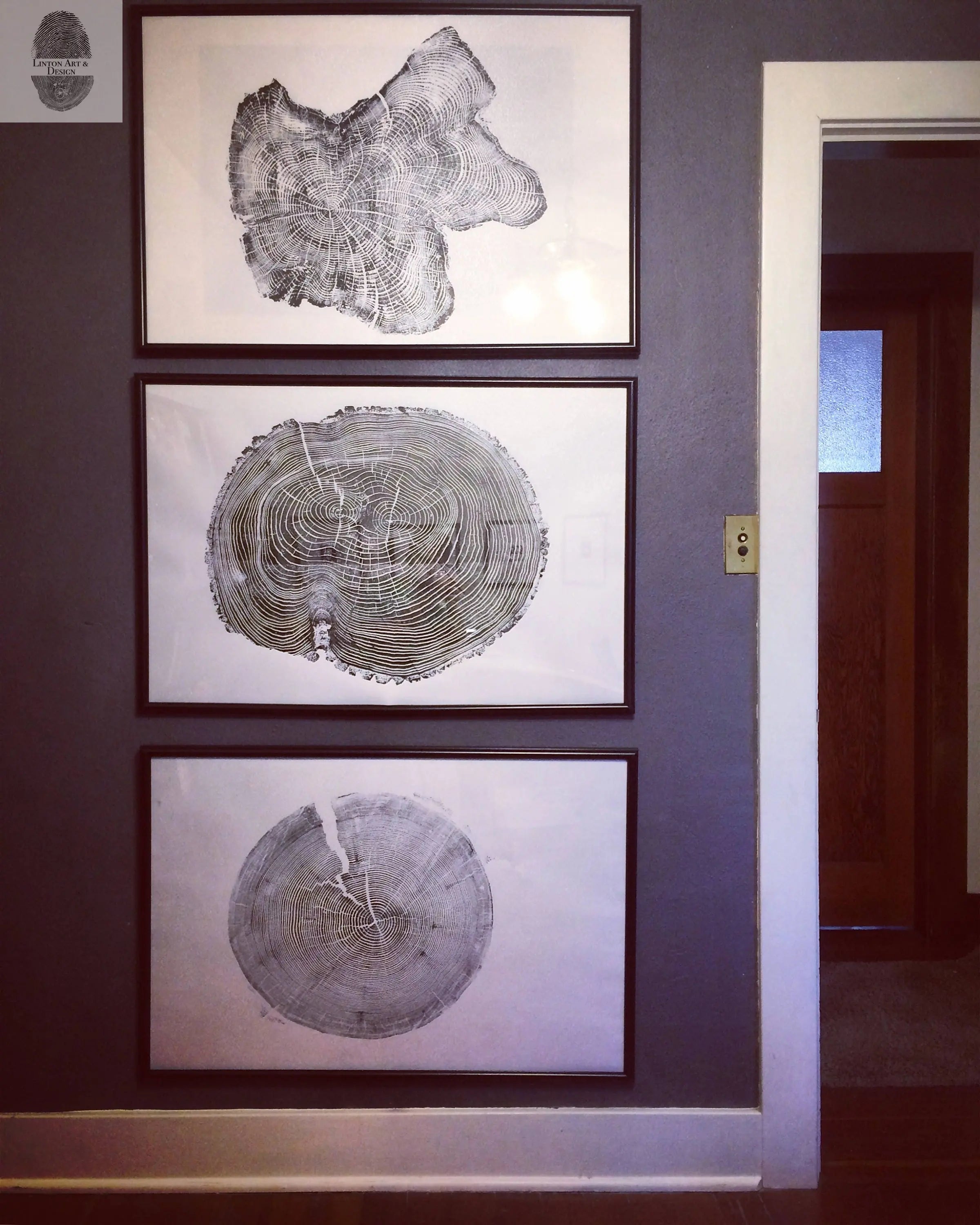 Ohio State, Ash Tree, Tree ring print, woodcut print, Lumber, Live edge, Biology Gifts, Arborist, Signed Original - 24x36 print